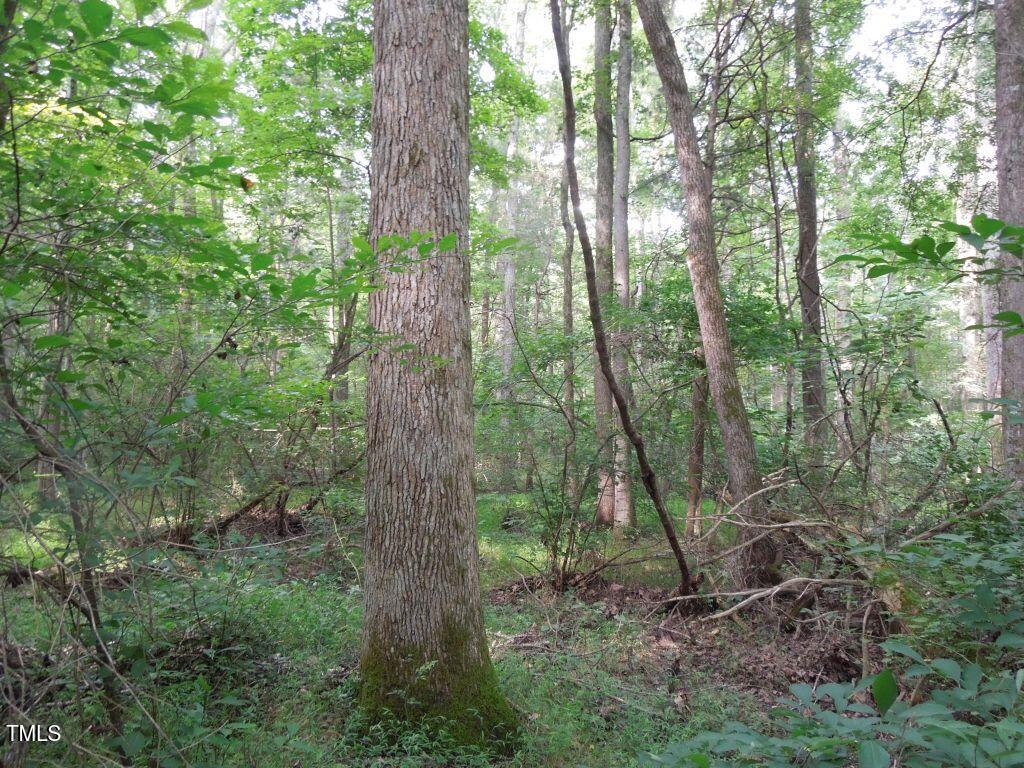 0 Noel Tuck Road Property Photo 6