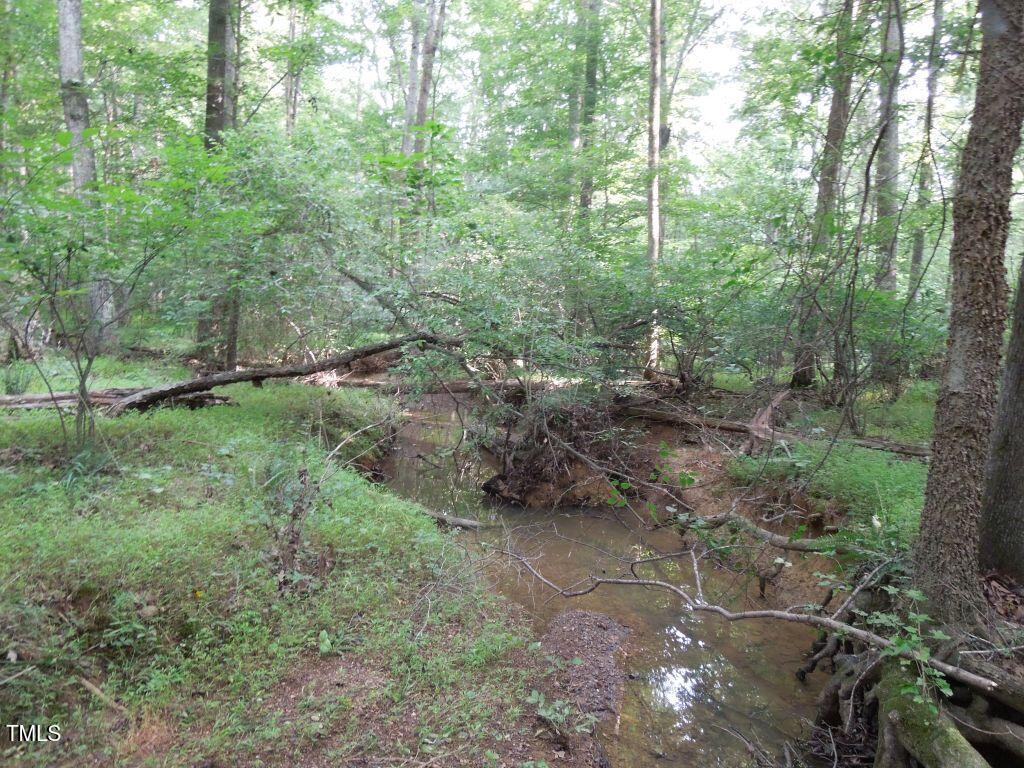 0 Noel Tuck Road Property Photo 7