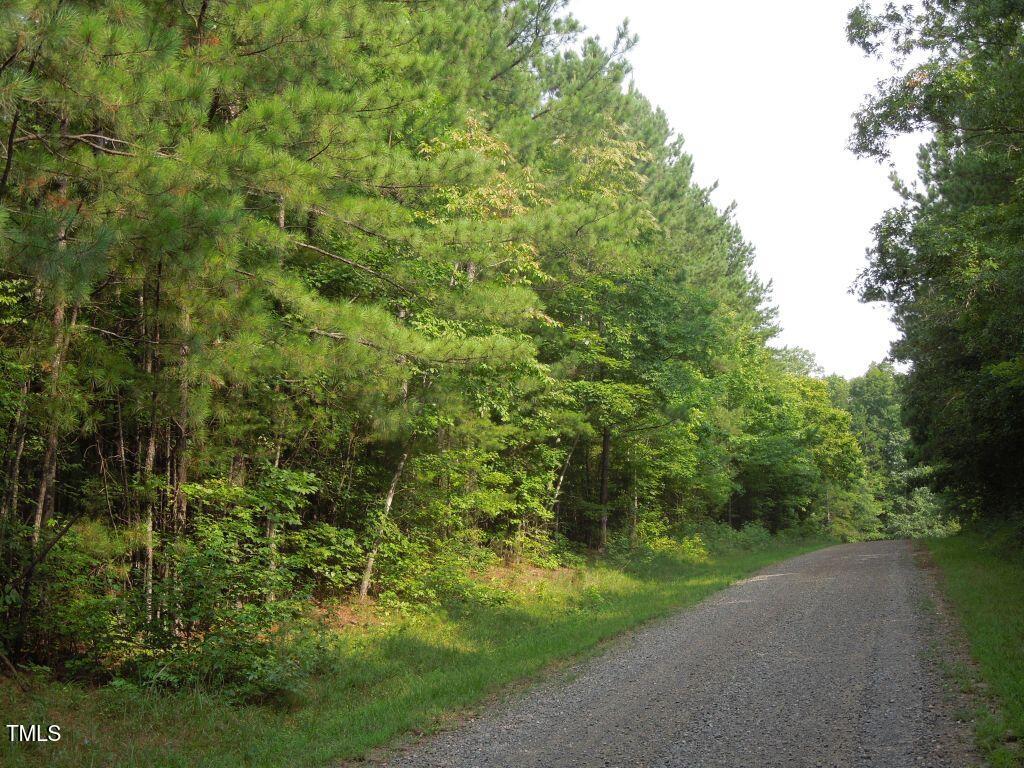 0 Noel Tuck Road Property Photo 8