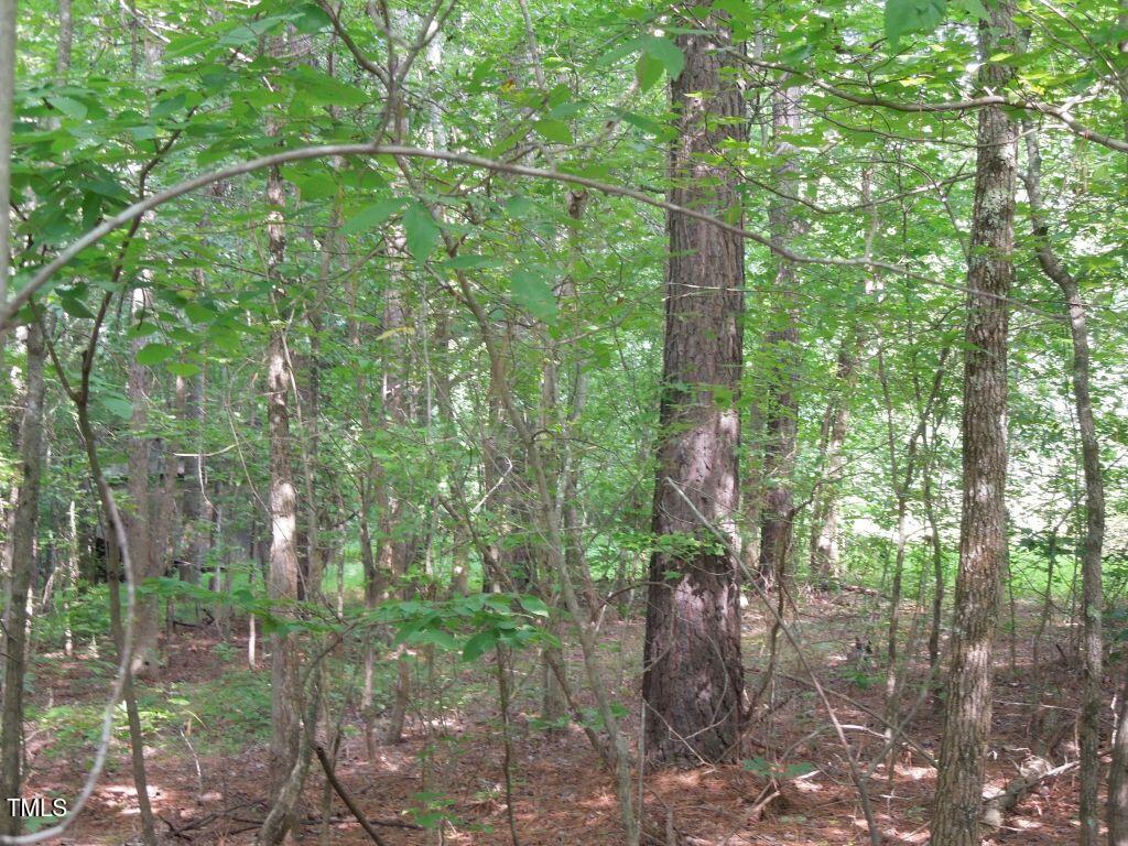 0 Noel Tuck Road Property Photo 9