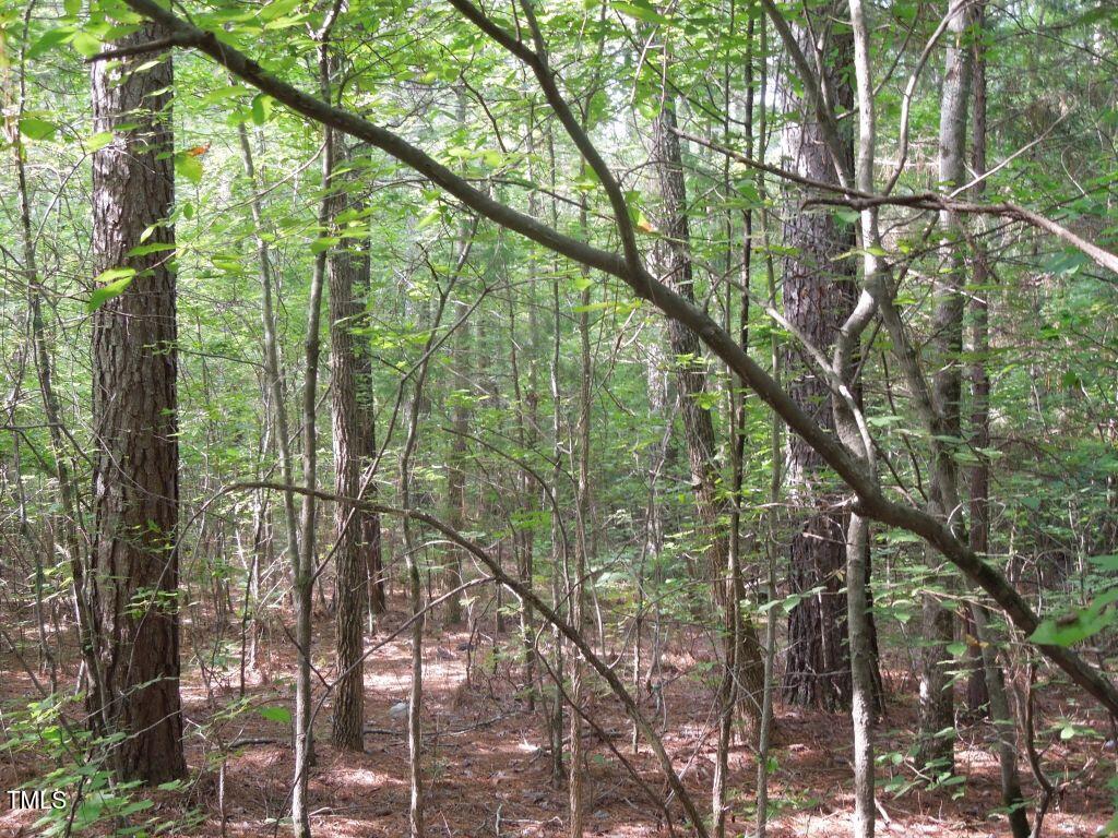 0 Noel Tuck Road Property Photo 10