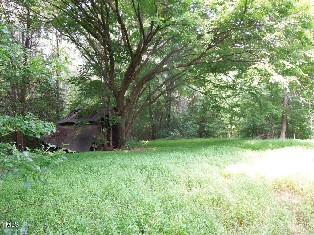 0 Noel Tuck Road Property Photo 11