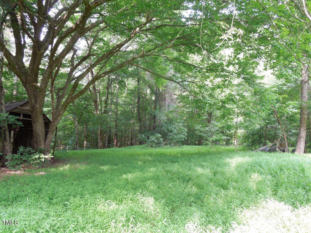 0 Noel Tuck Road Property Photo 12