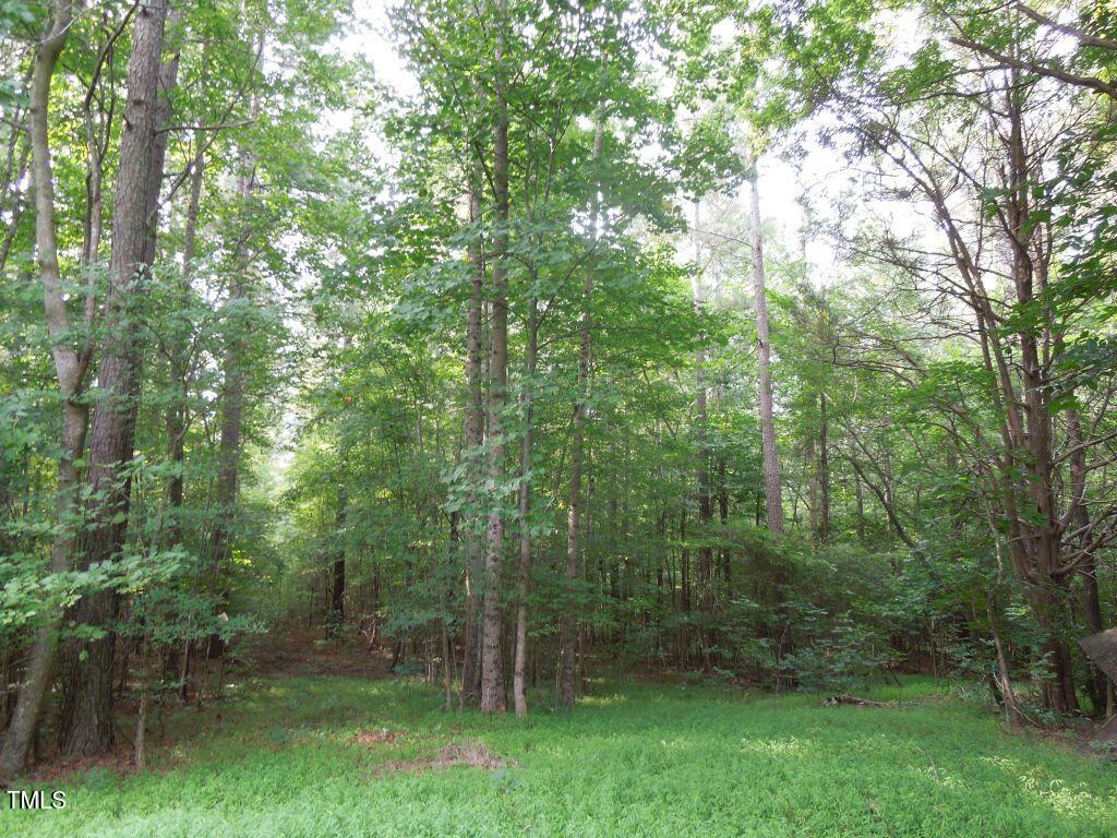 0 Noel Tuck Road Property Photo 13