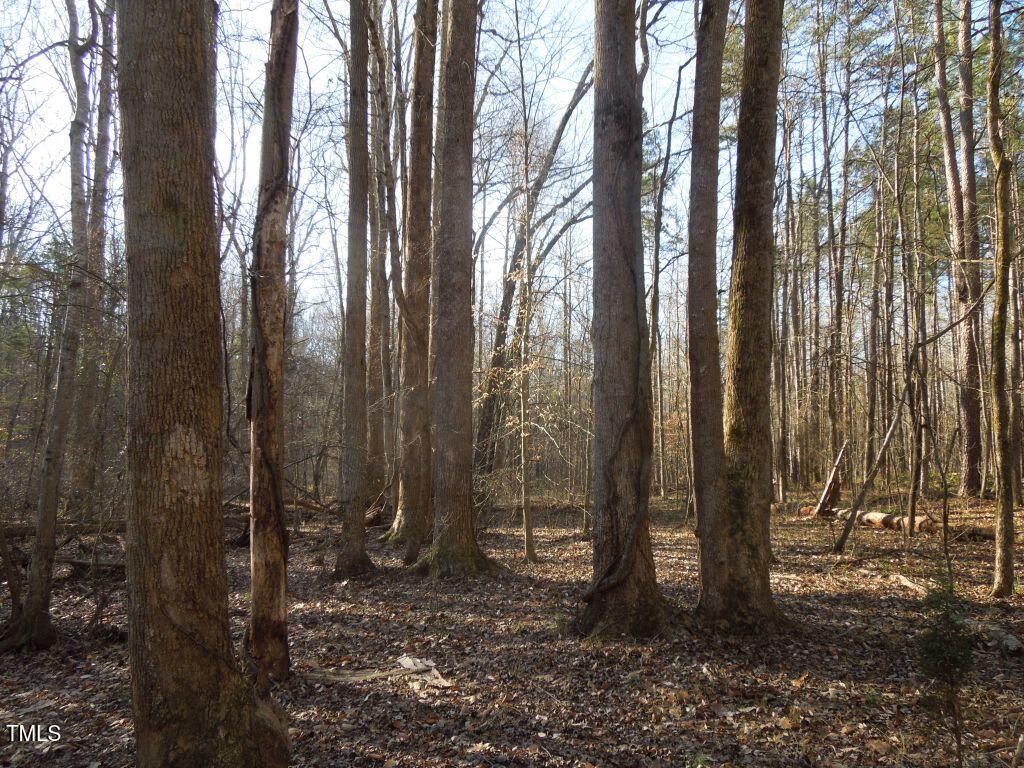 0 Noel Tuck Road Property Photo 18