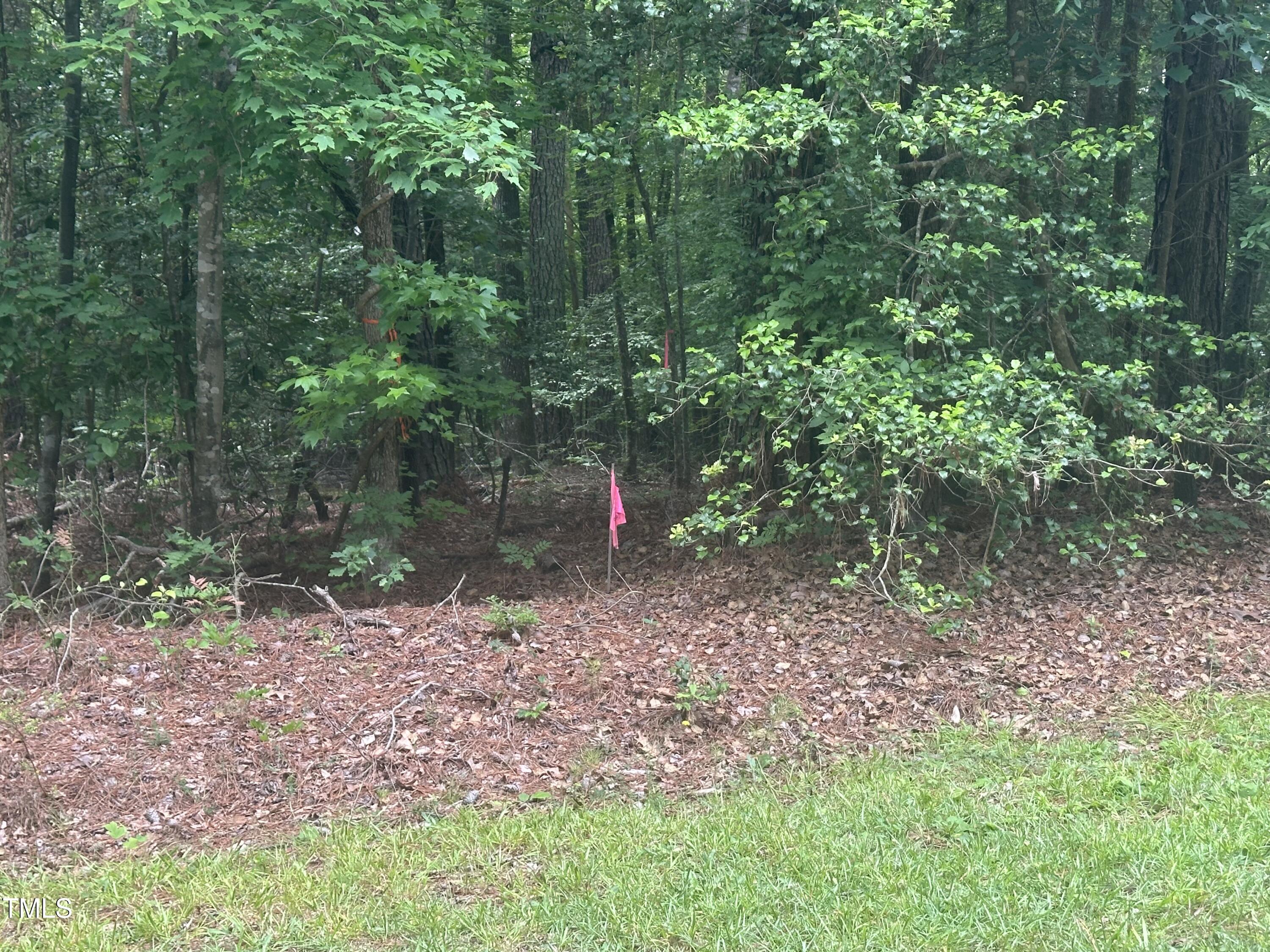 0 Round Fish Drive Property Photo 1