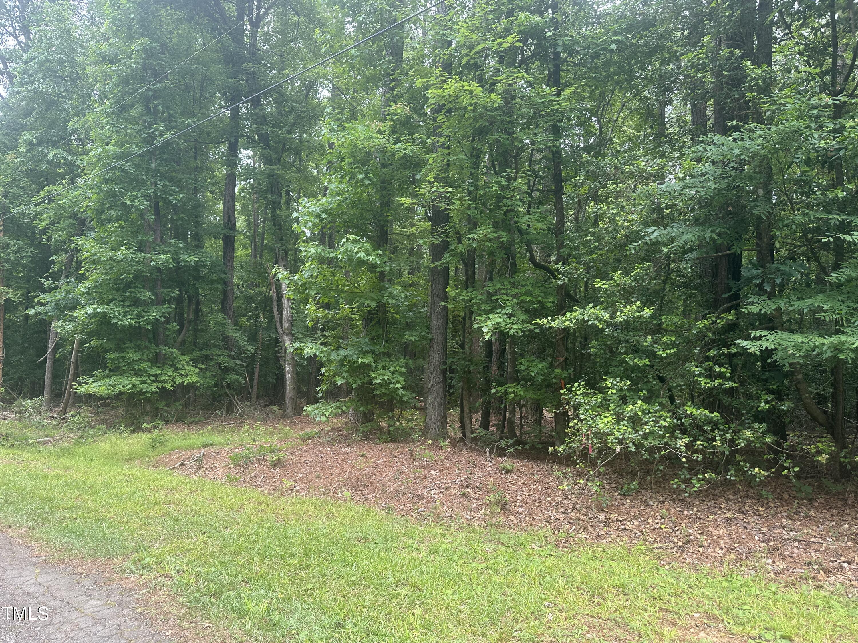 0 Round Fish Drive Property Photo 3