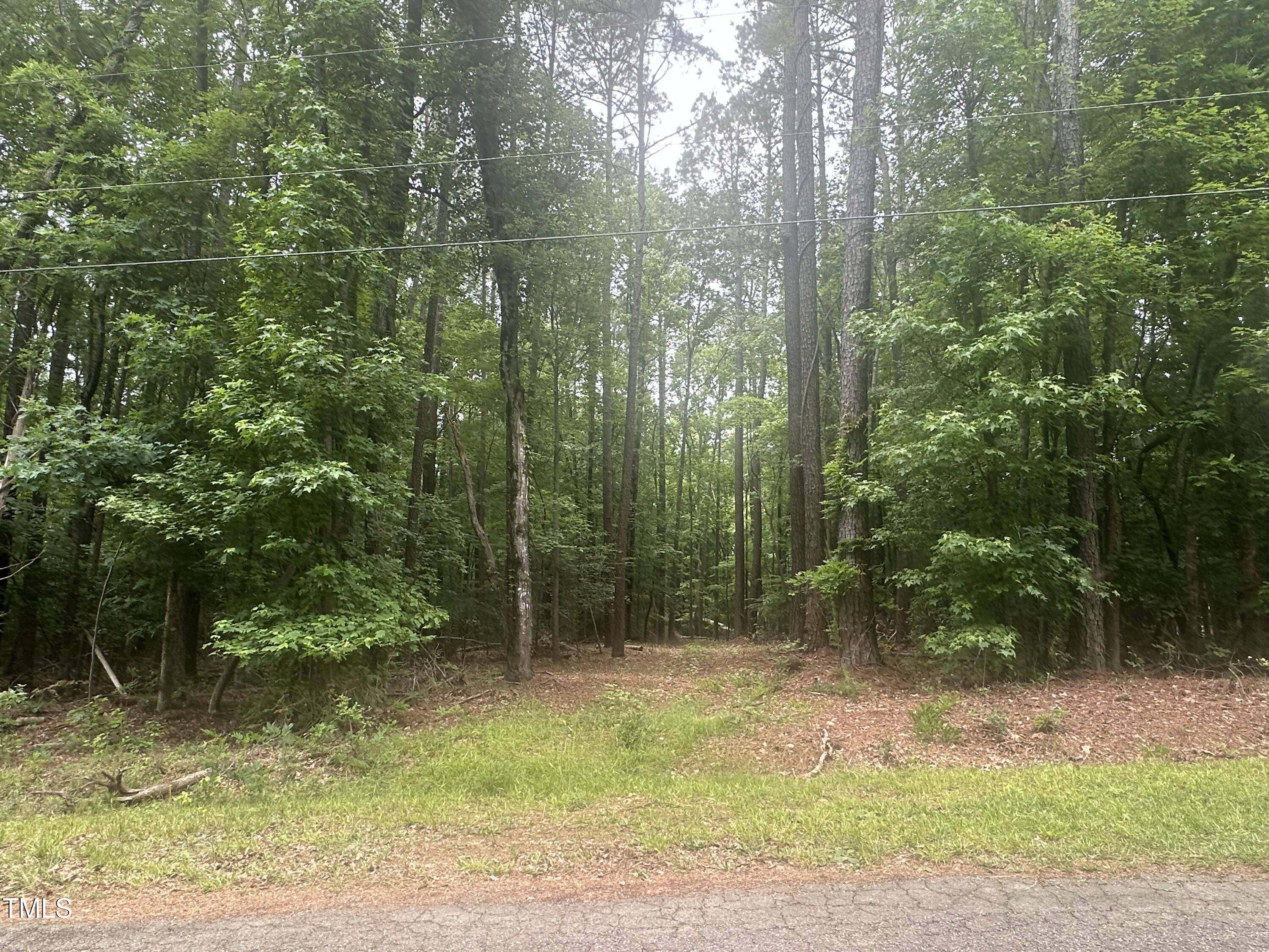 0 Round Fish Drive Property Photo 4