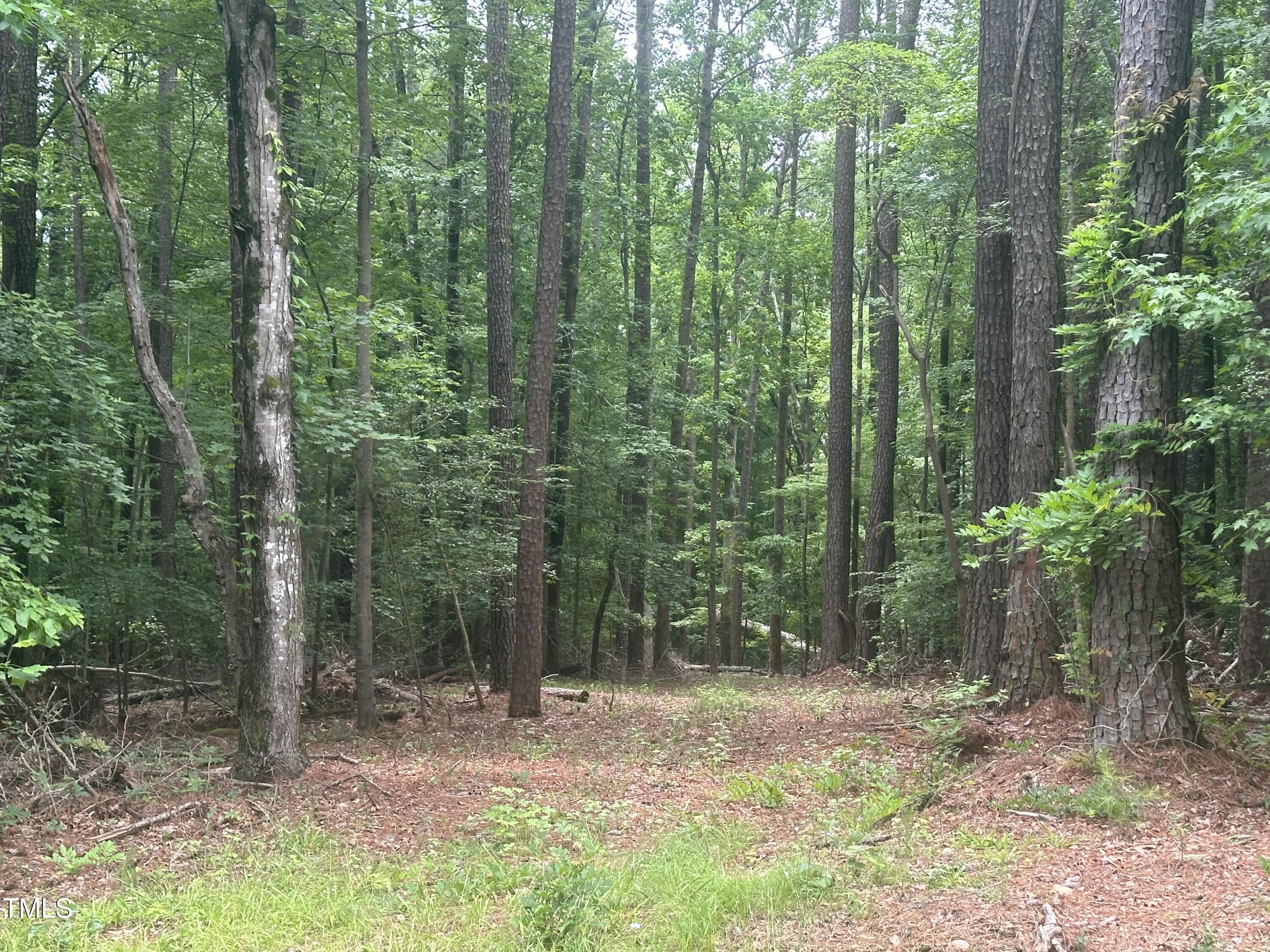 0 Round Fish Drive Property Photo 5