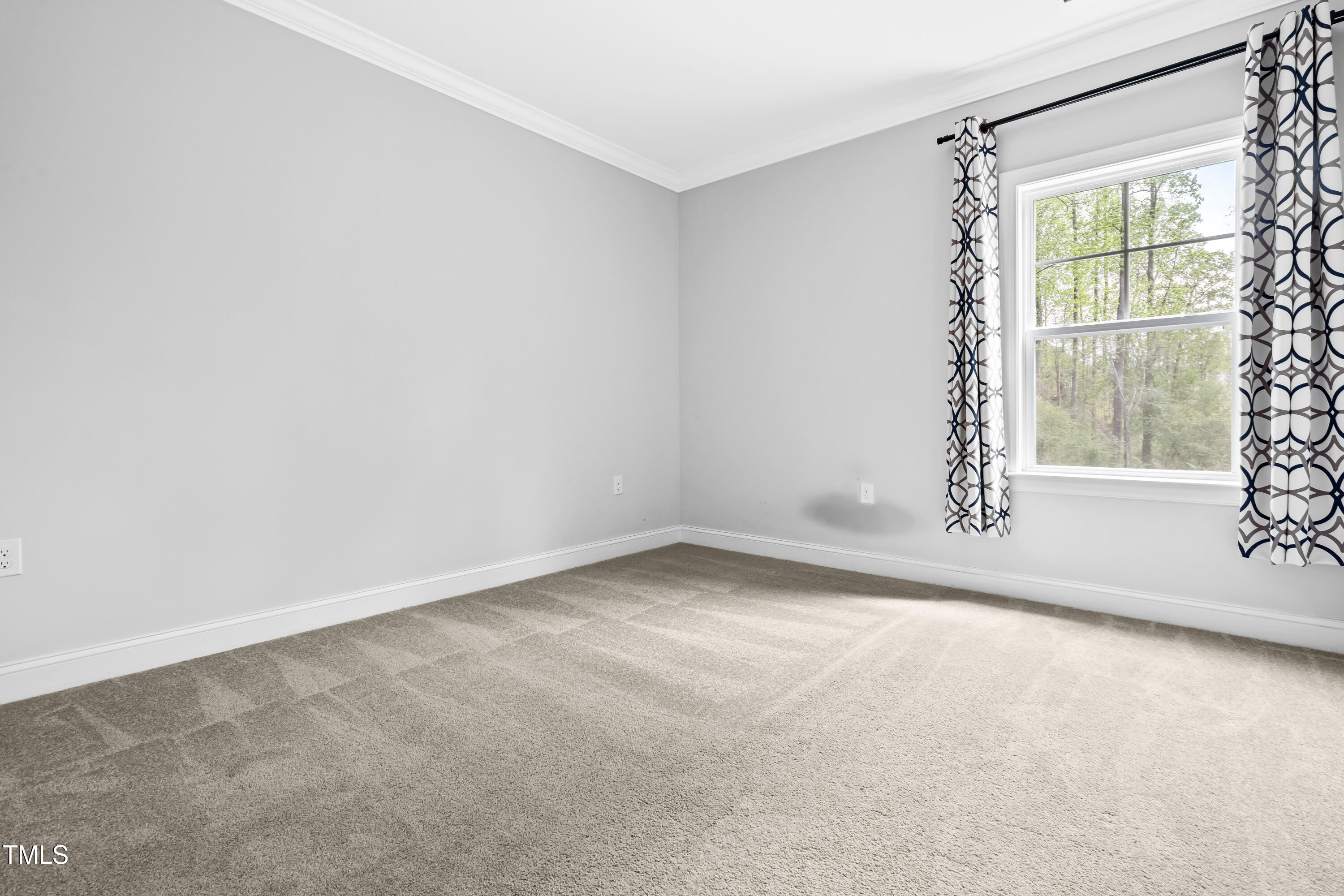 270 Trailing Blf Way Property Photo 20
