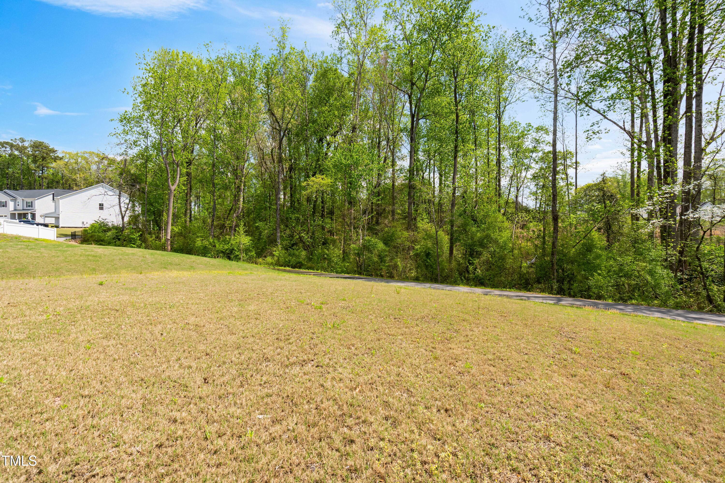 270 Trailing Blf Way Property Photo 41