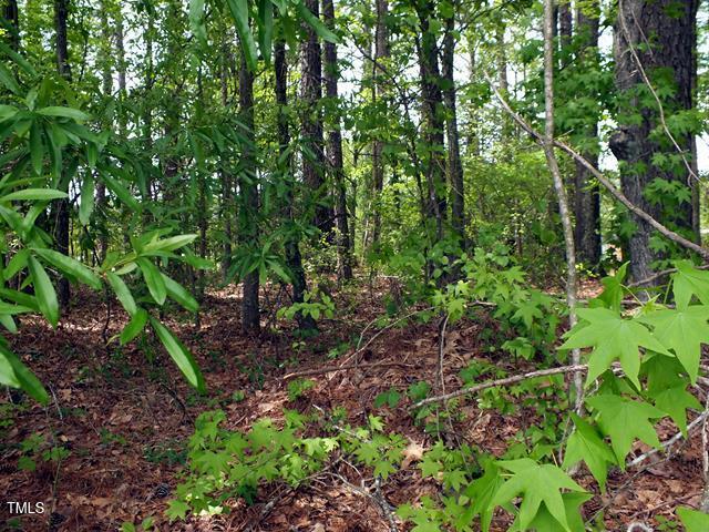 00 Bunn Elementary School Road Property Photo 2