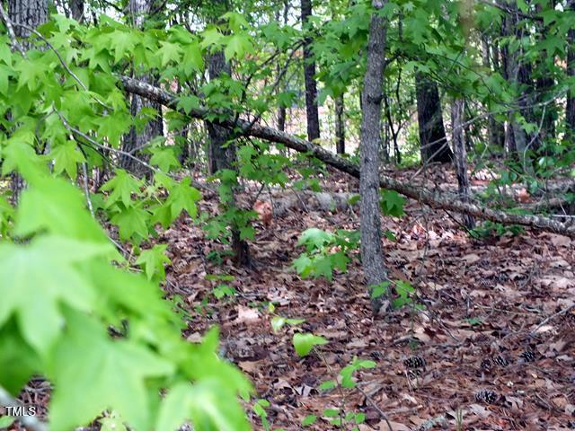 00 Bunn Elementary School Road Property Photo 3