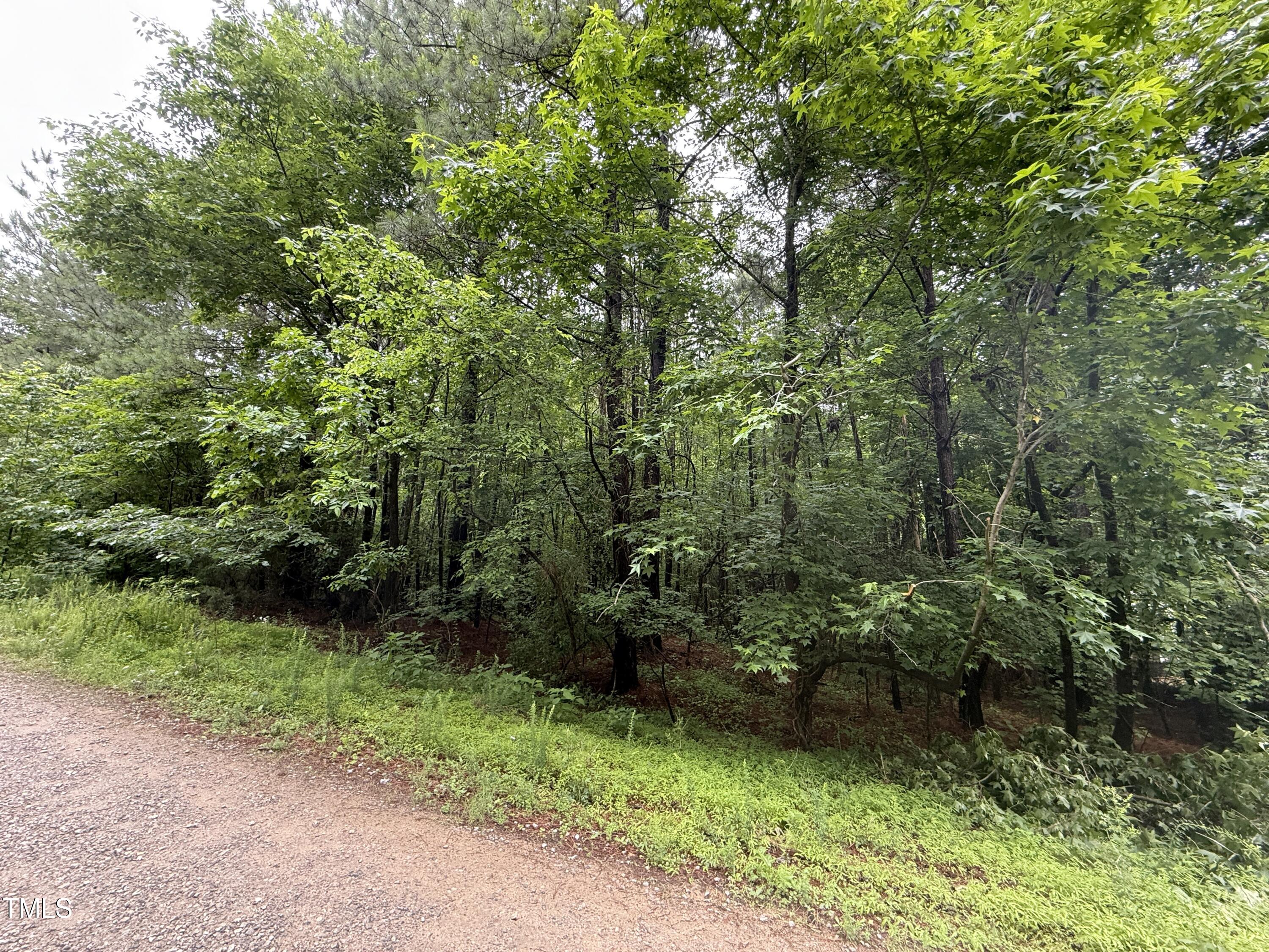 729 Regina Lane Property Photo 3