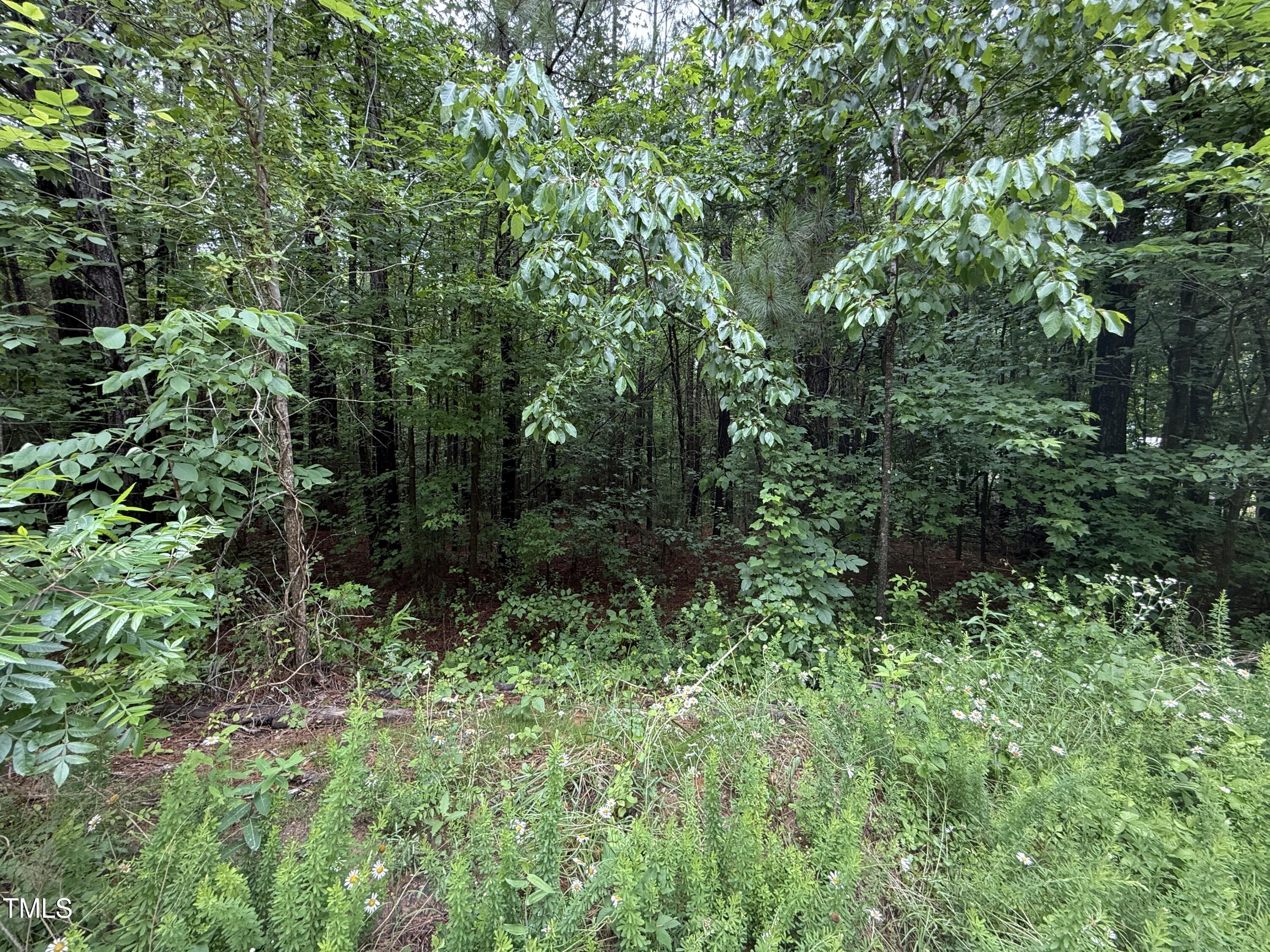 729 Regina Lane Property Photo 4