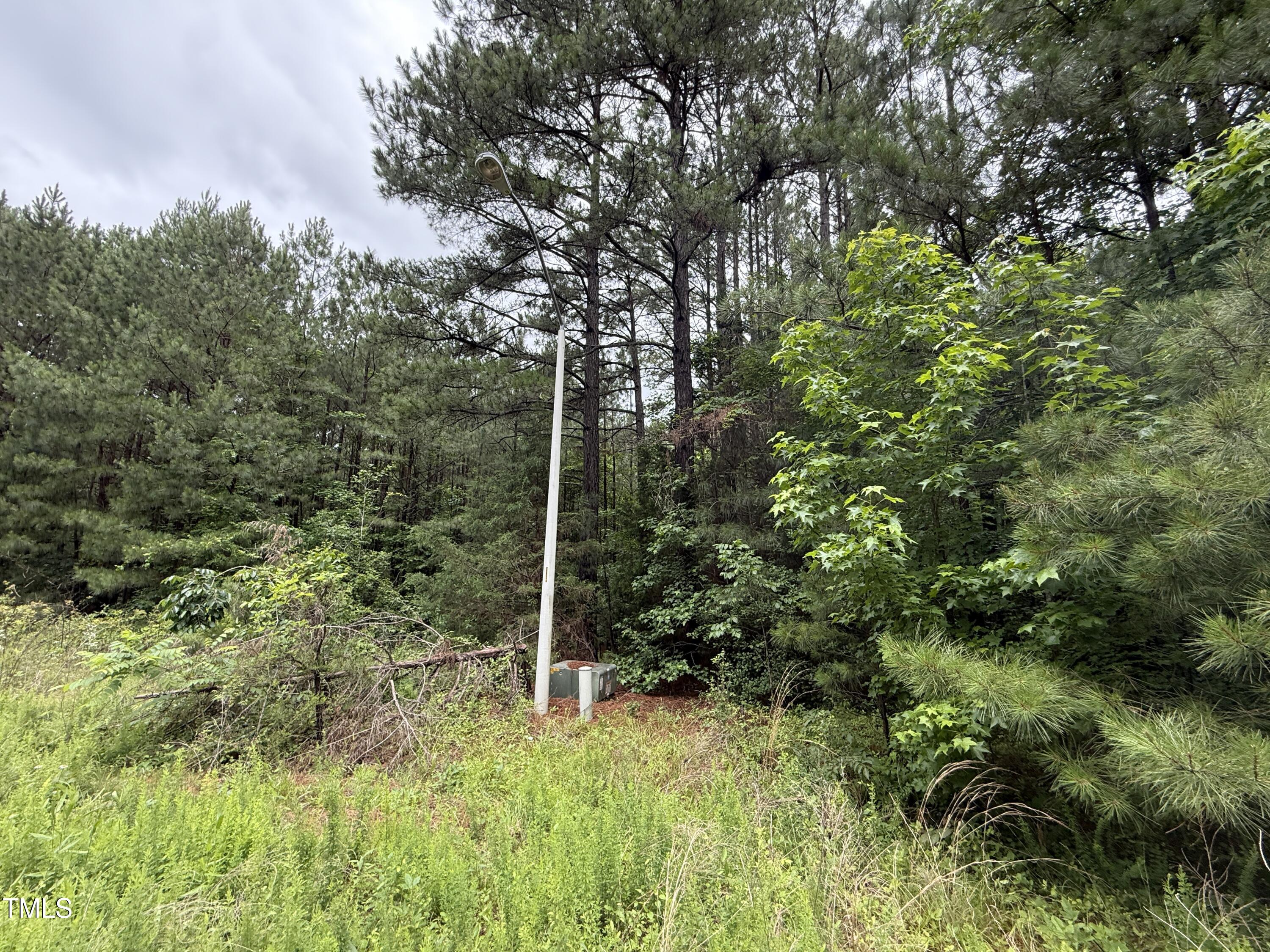 729 Regina Lane Property Photo 6