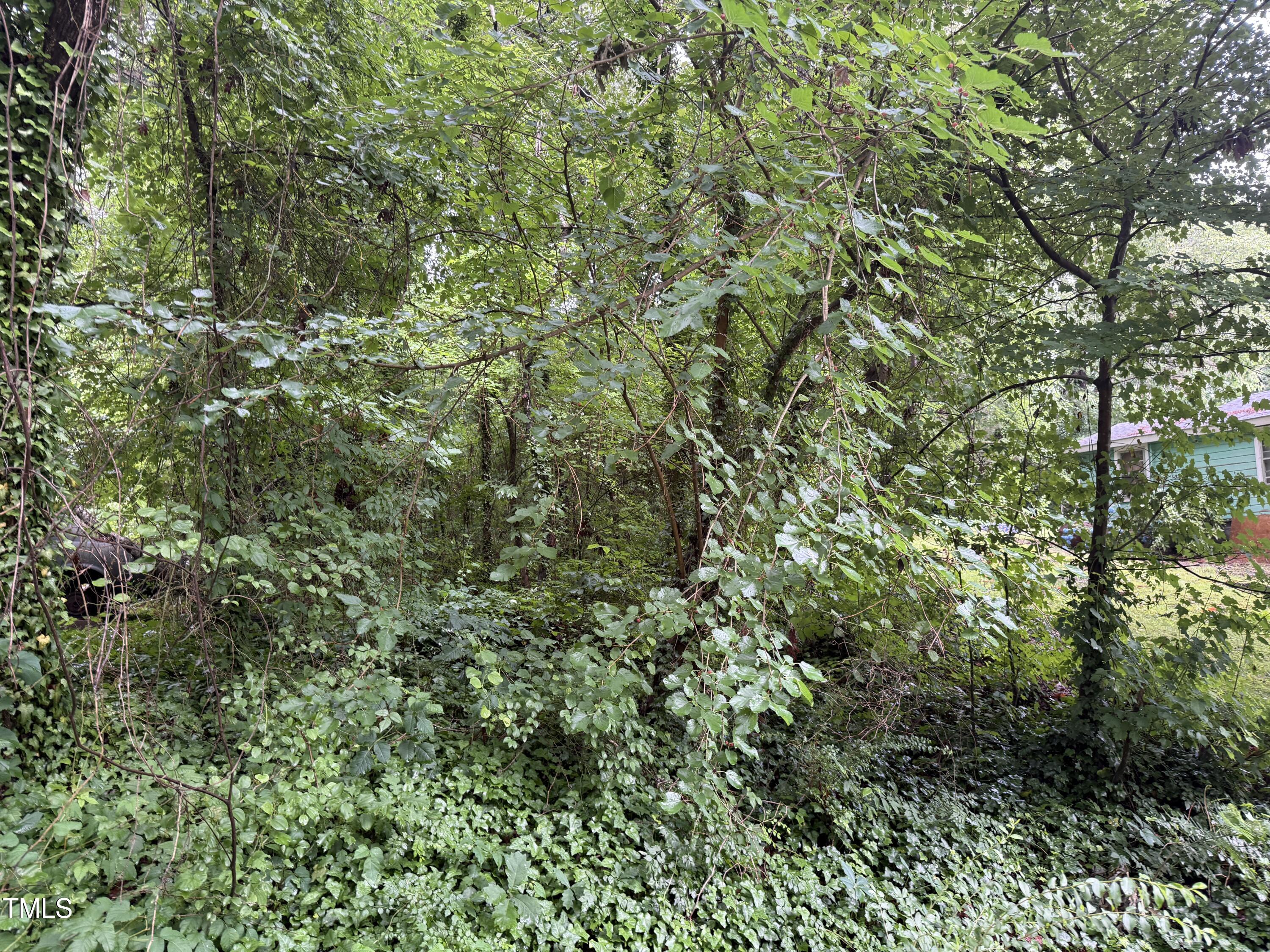 00 Pheasant Lane Property Photo 1