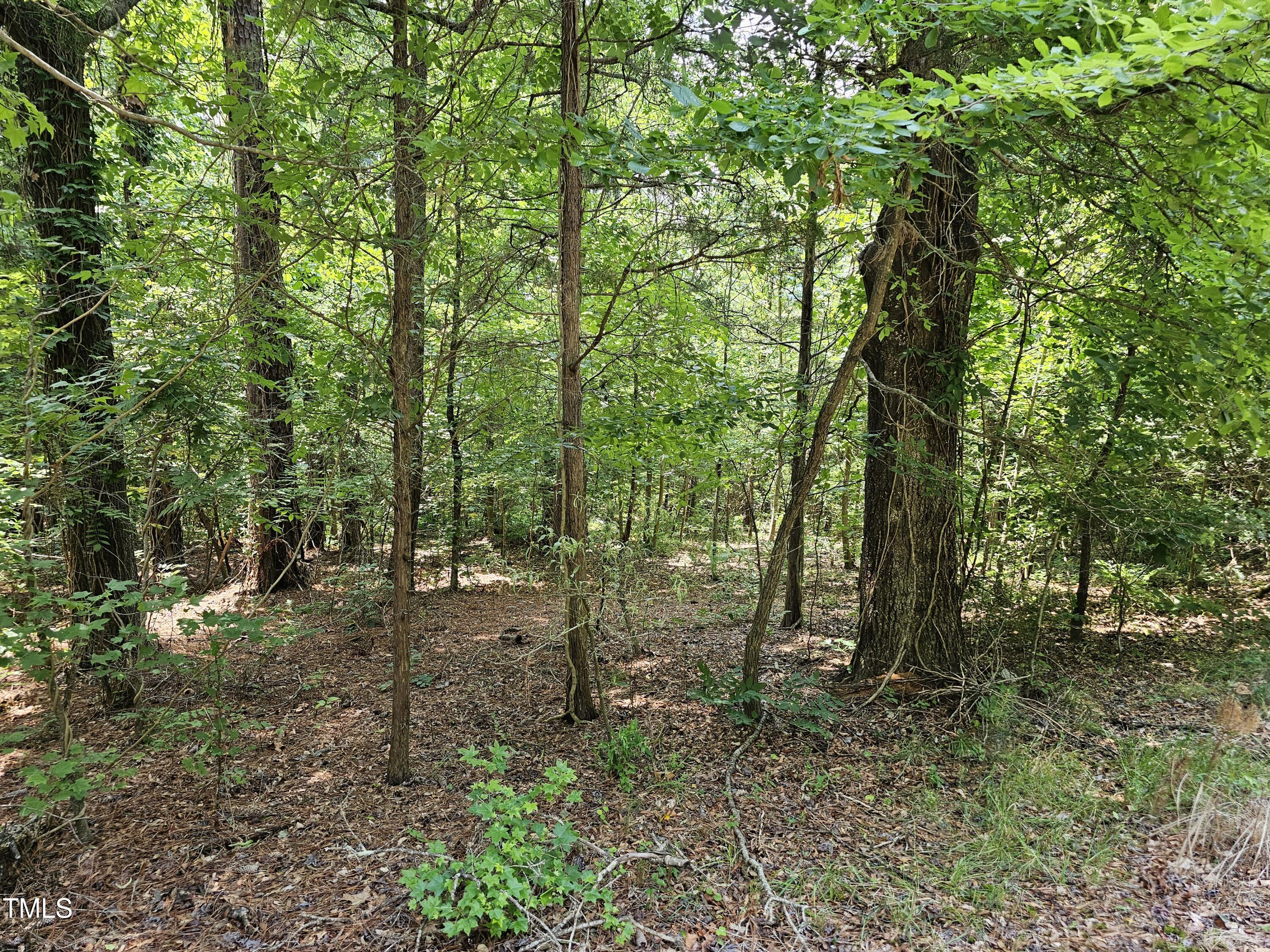 213 Teel Drive Property Photo 6