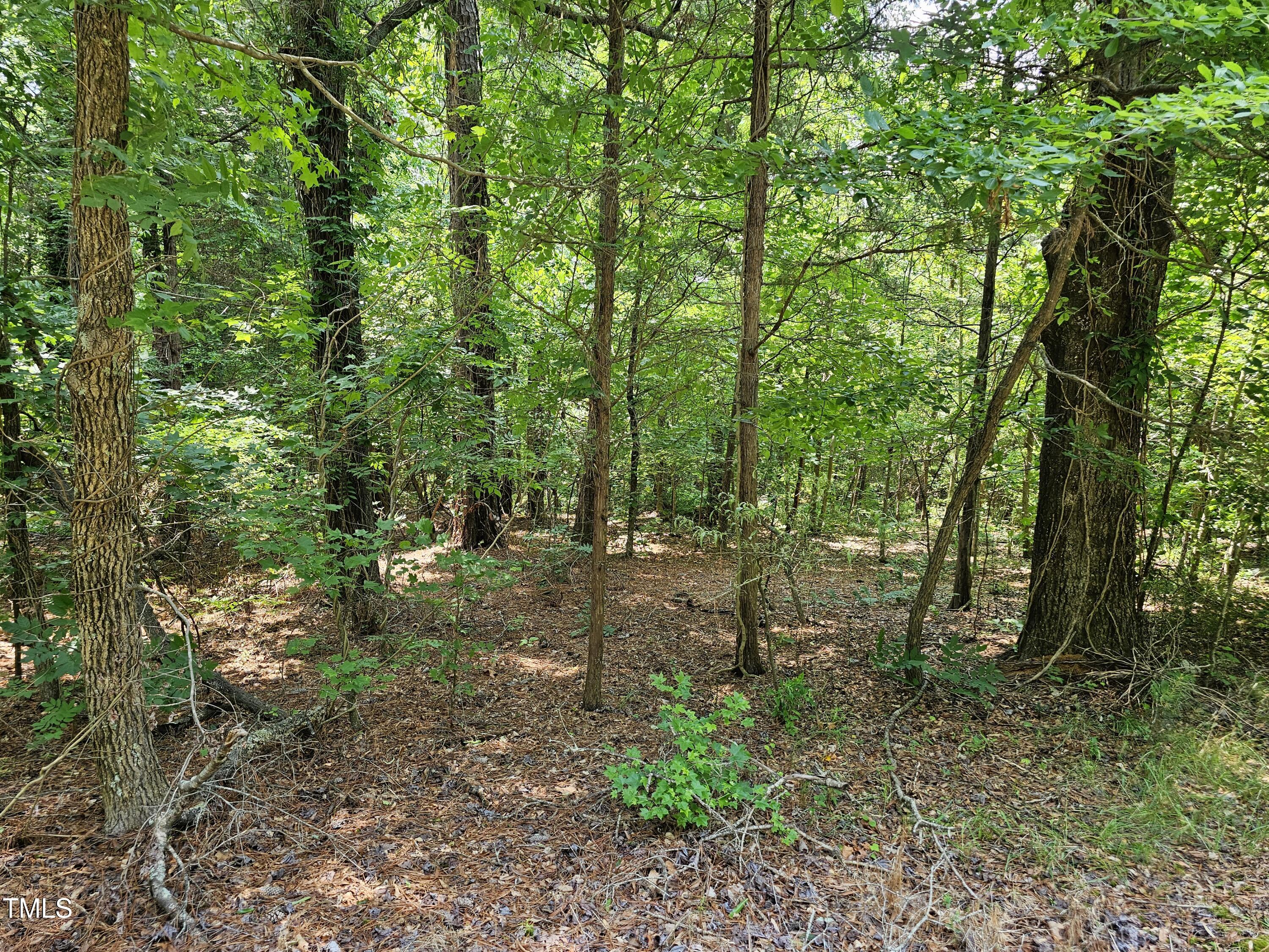 213 Teel Drive Property Photo 7
