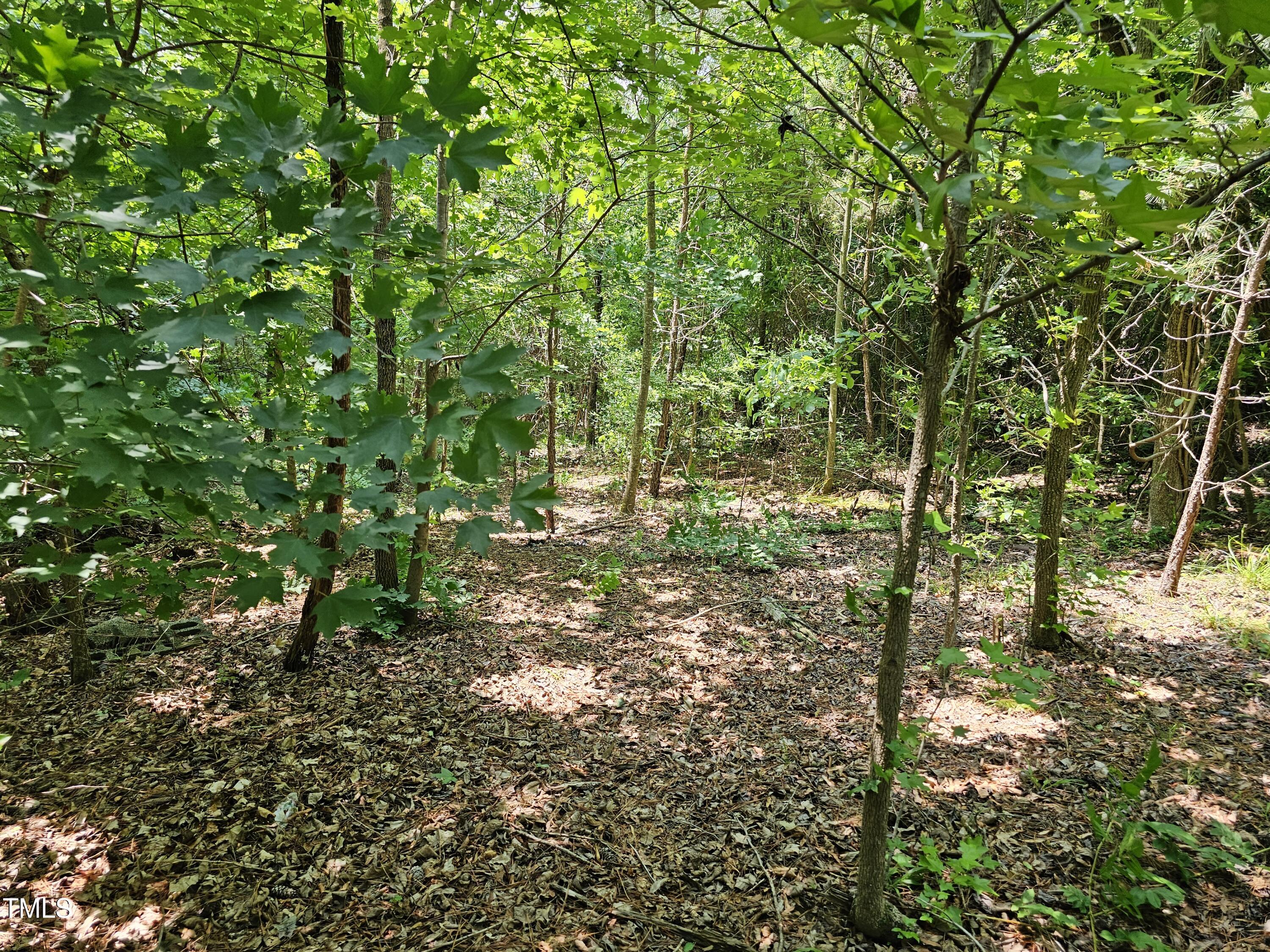 213 Teel Drive Property Photo 8