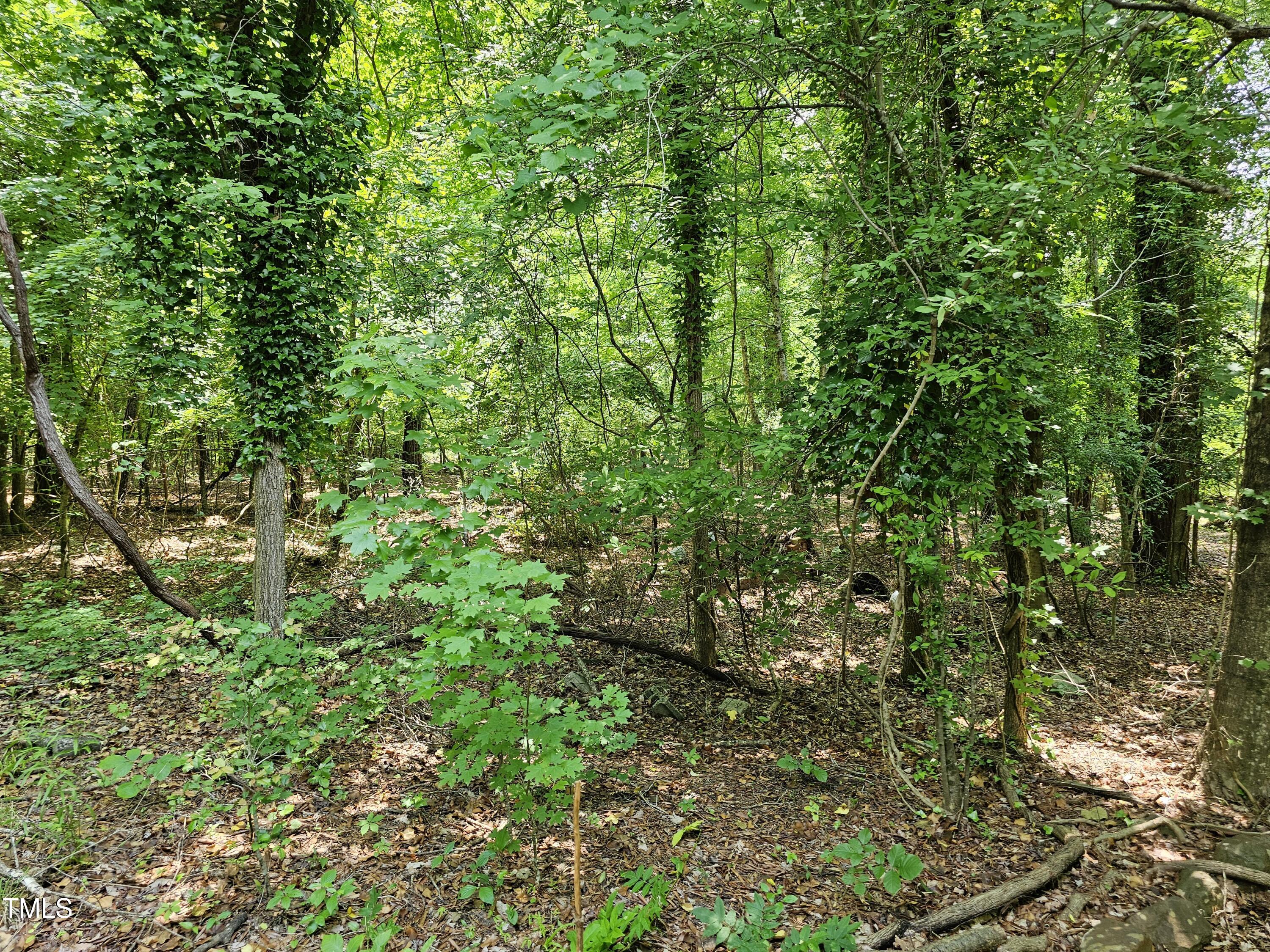 213 Teel Drive Property Photo 9