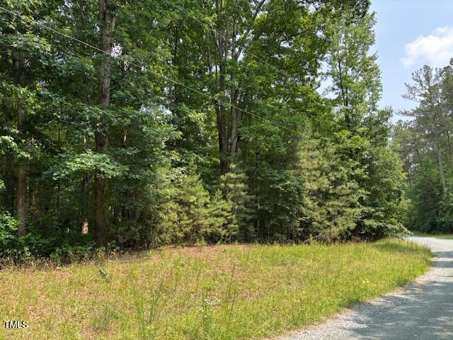 0 Collins Creek Drive Property Photo 3