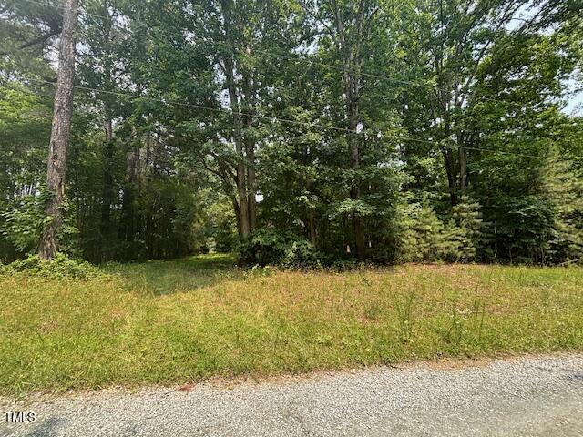 0 Collins Creek Drive Property Photo 5