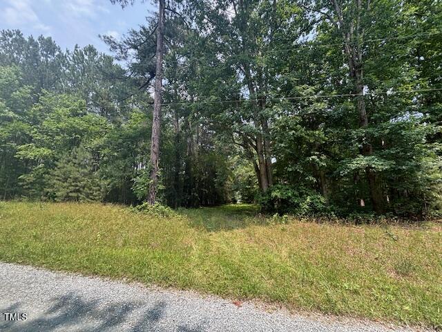 0 Collins Creek Drive Property Photo 6
