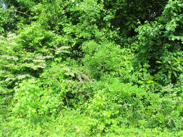 0 Airport Road Property Photo 1