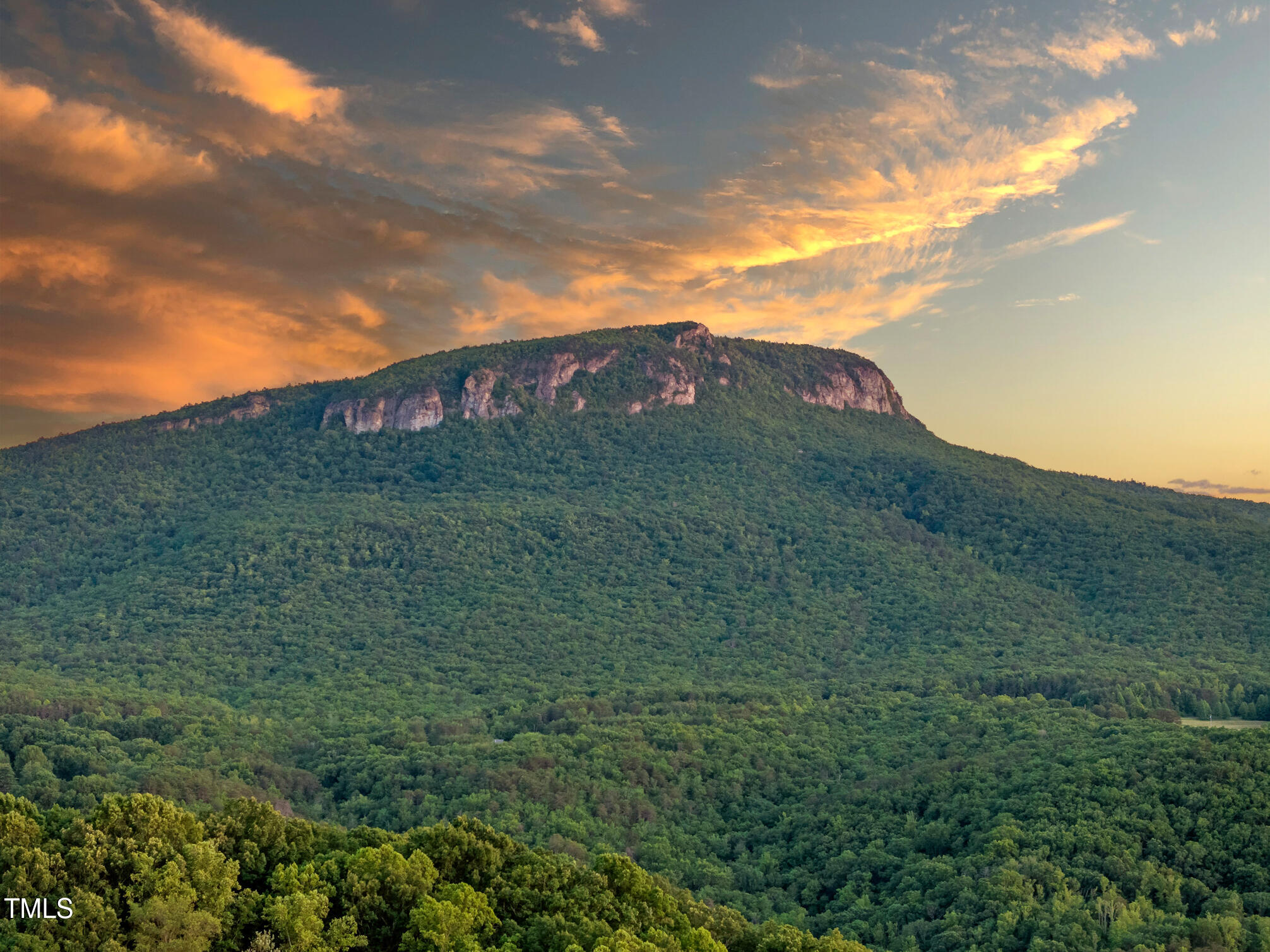 1215 Single Tree Road Property Photo 1