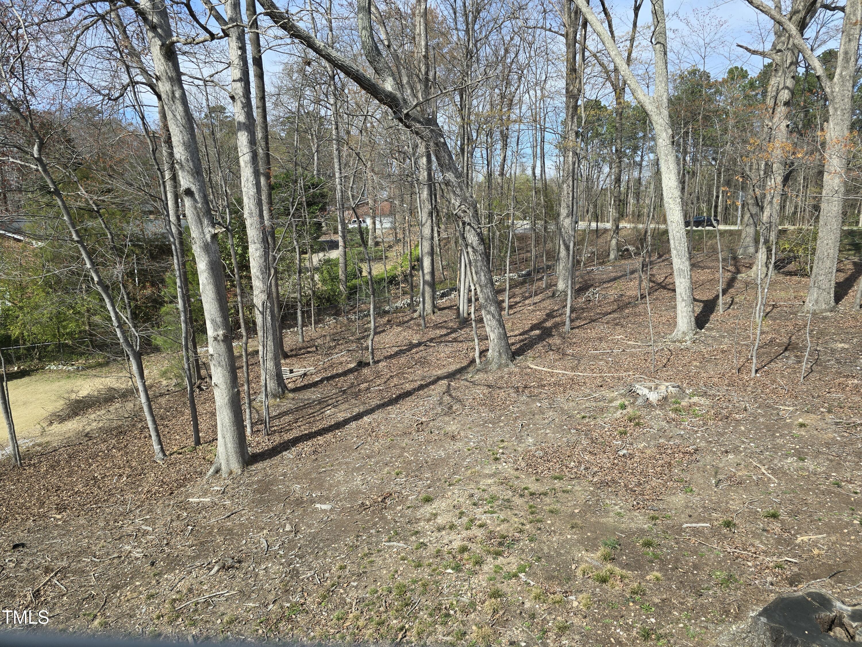 309 Wyatts Pond Lane Property Photo 33