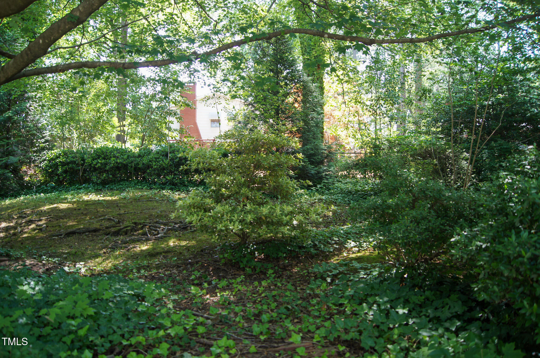 1307 Sycamore Drive Property Photo 47