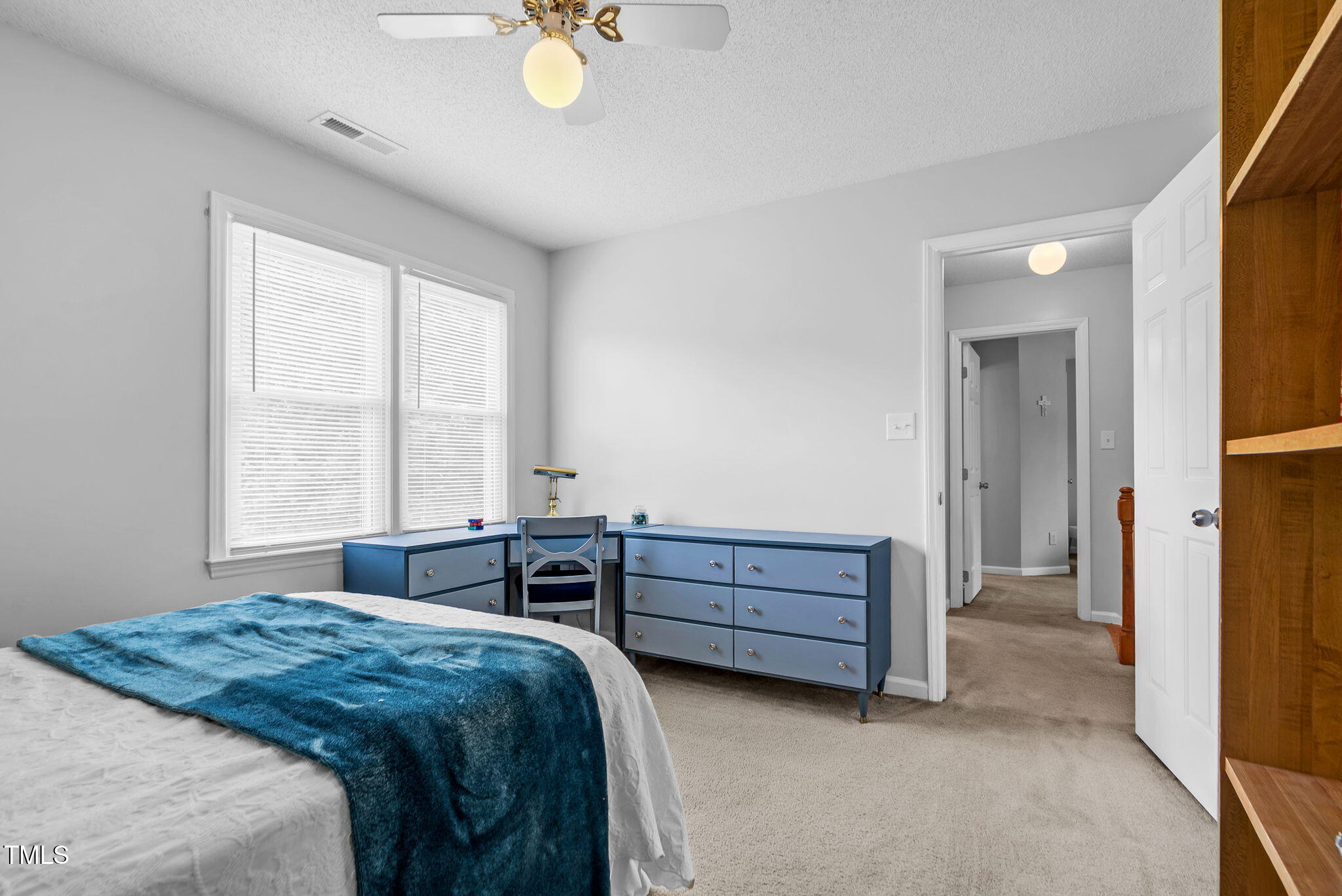 209 Bradley Drive Property Photo 22