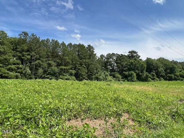 520 Embro Vaughan Road Property Photo 1