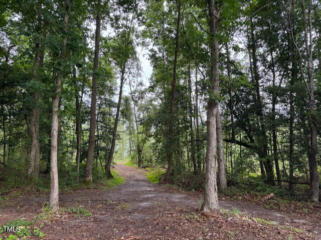0 Beasley Road Property Photo 5