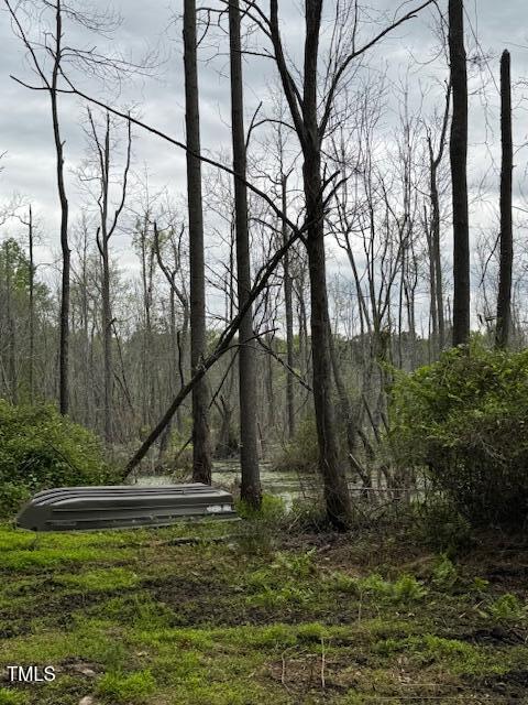 0 Beasley Road Property Photo 36