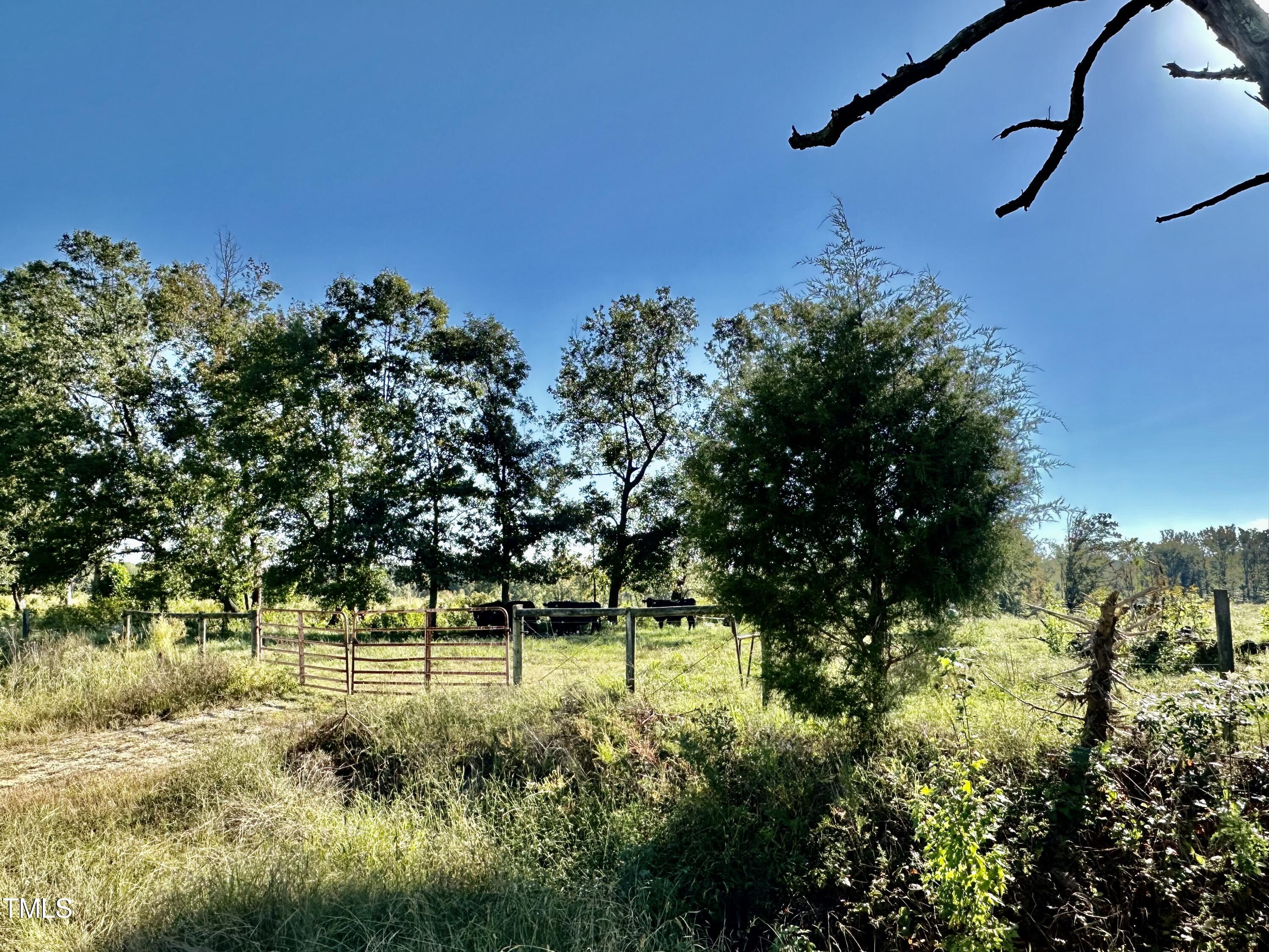 Lot 1 Jones Road Property Photo 3