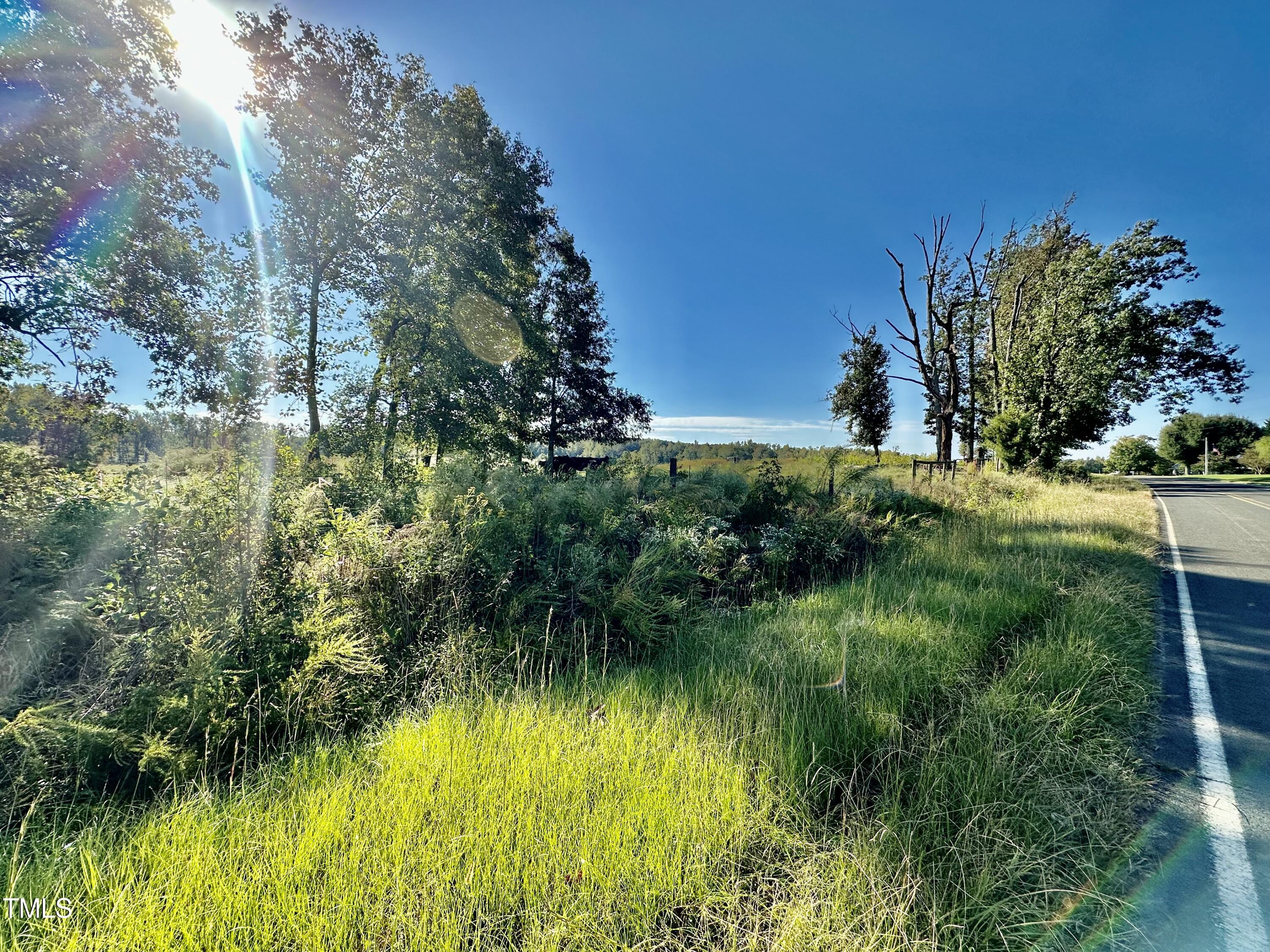 Lot 1 Jones Road Property Photo 4