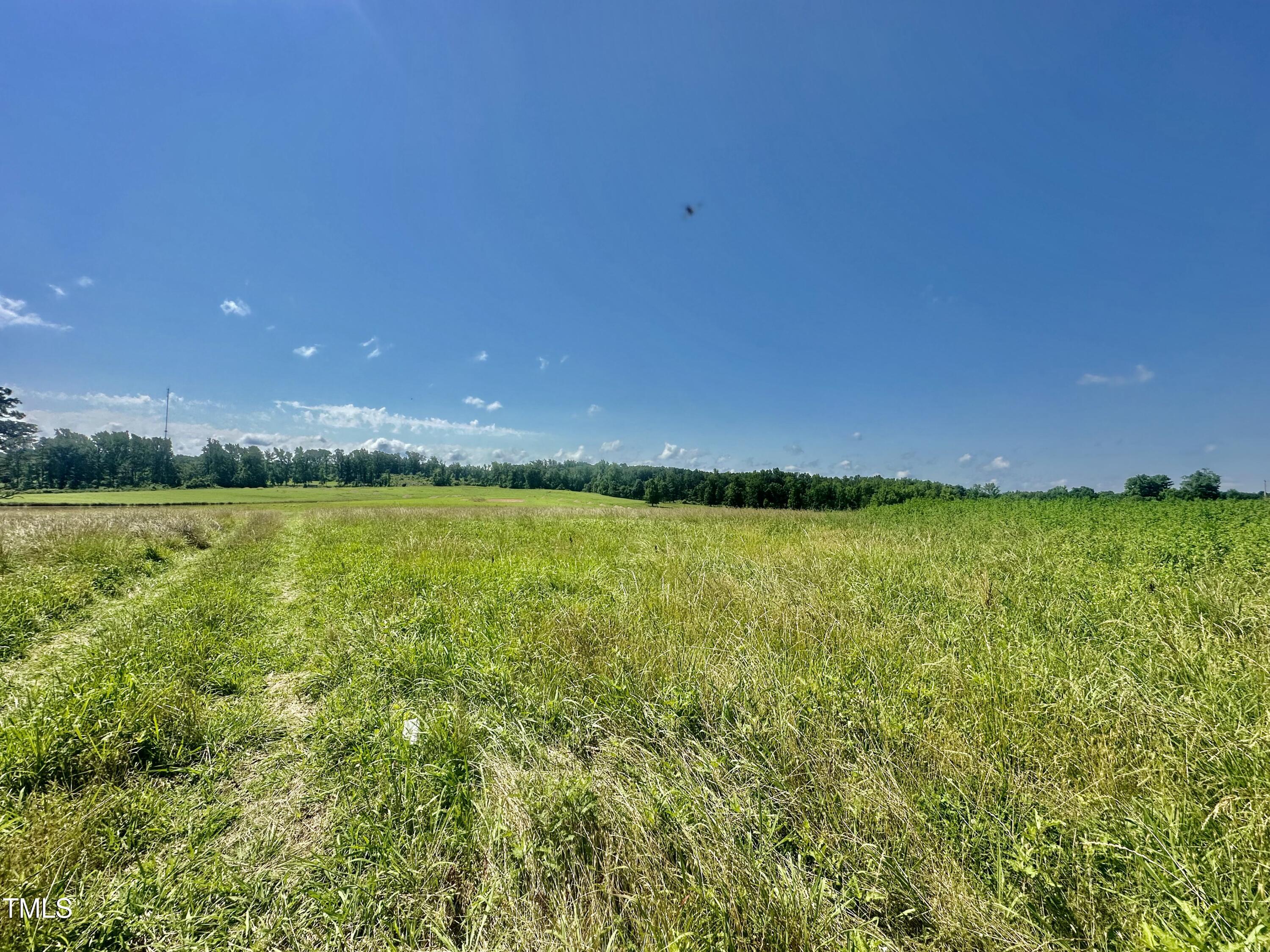 Lot 1 Jones Road Property Photo 6