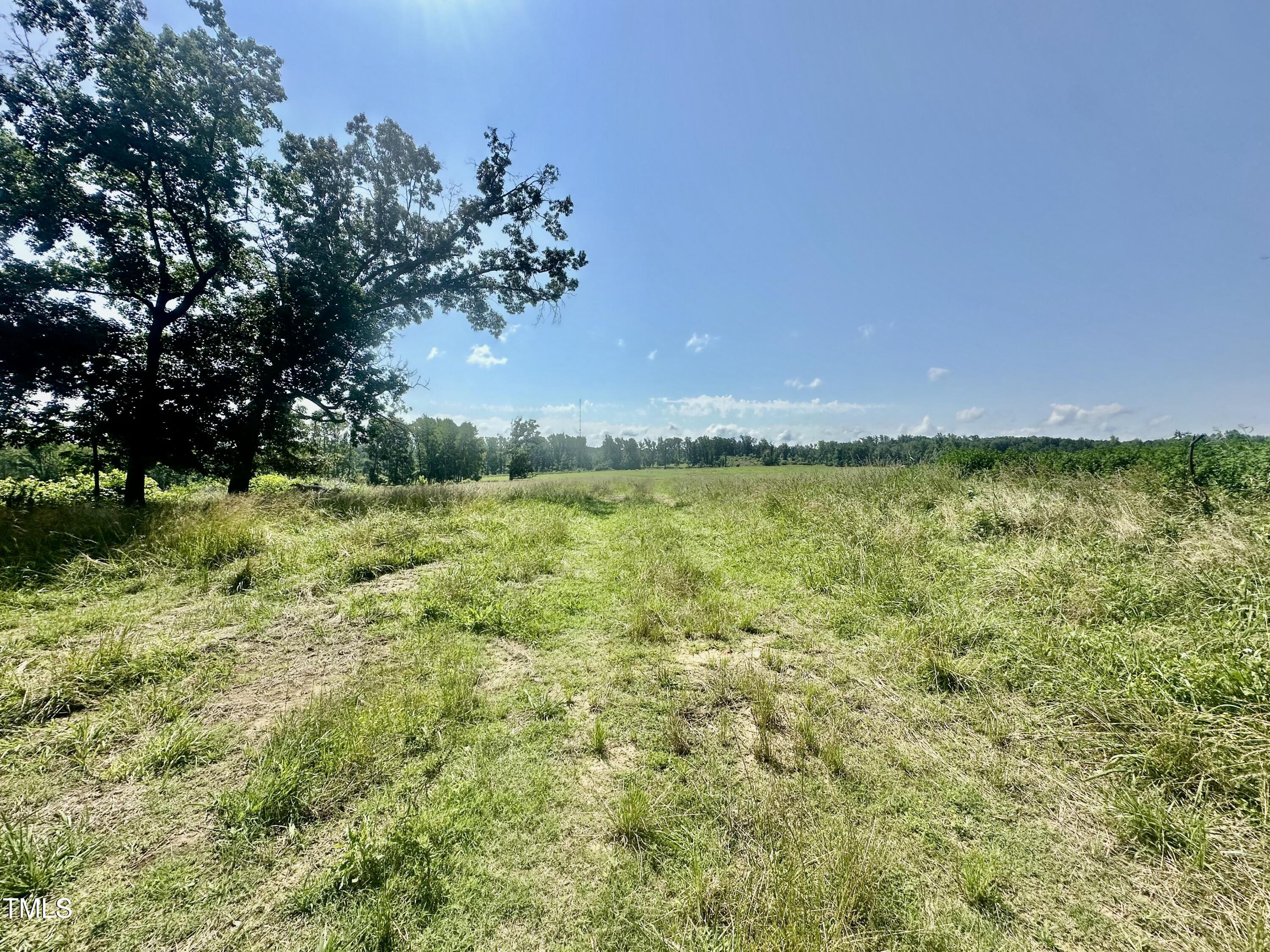 Lot 1 Jones Road Property Photo 7