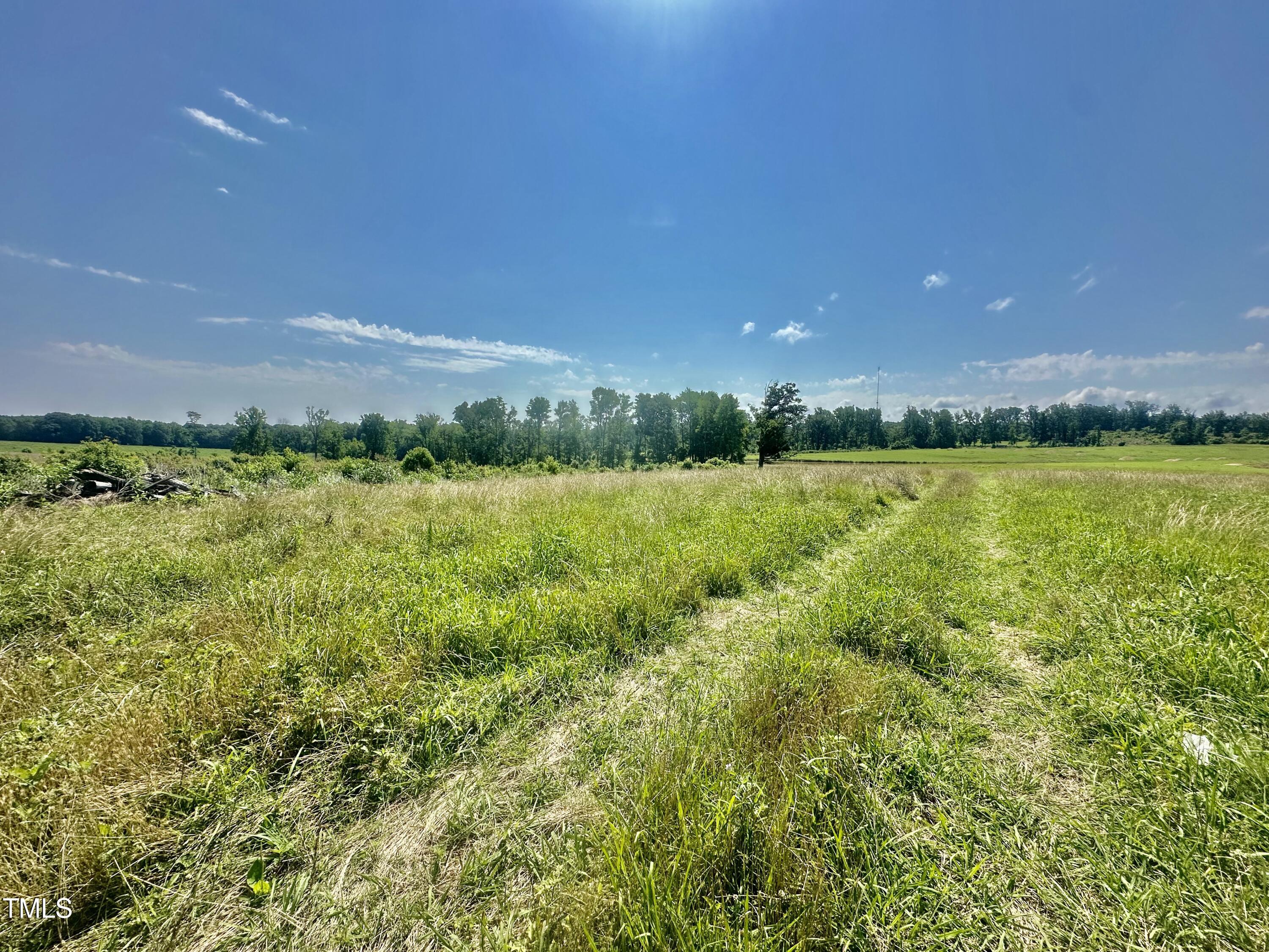 Lot 1 Jones Road Property Photo 8
