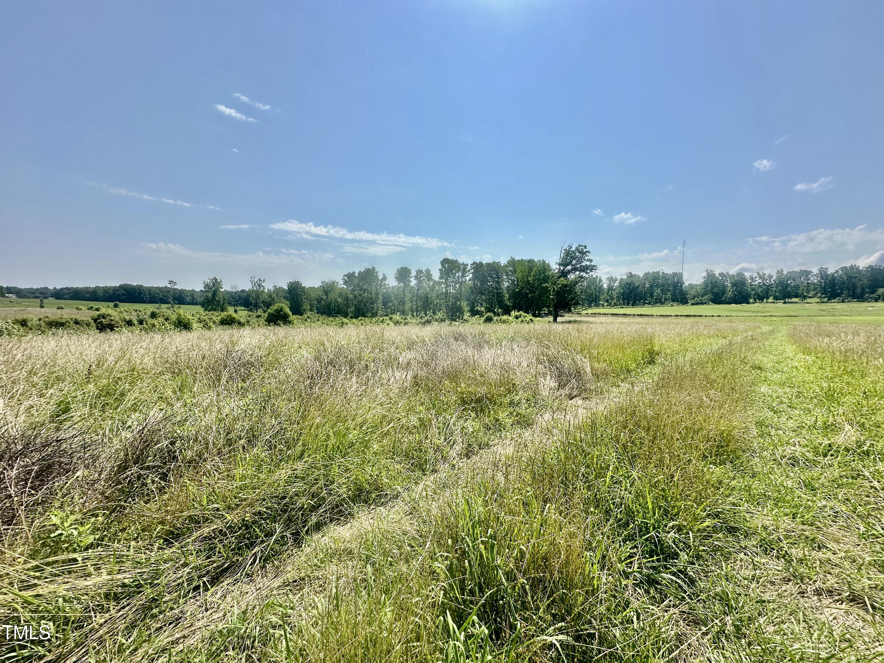 Lot 1 Jones Road Property Photo 10