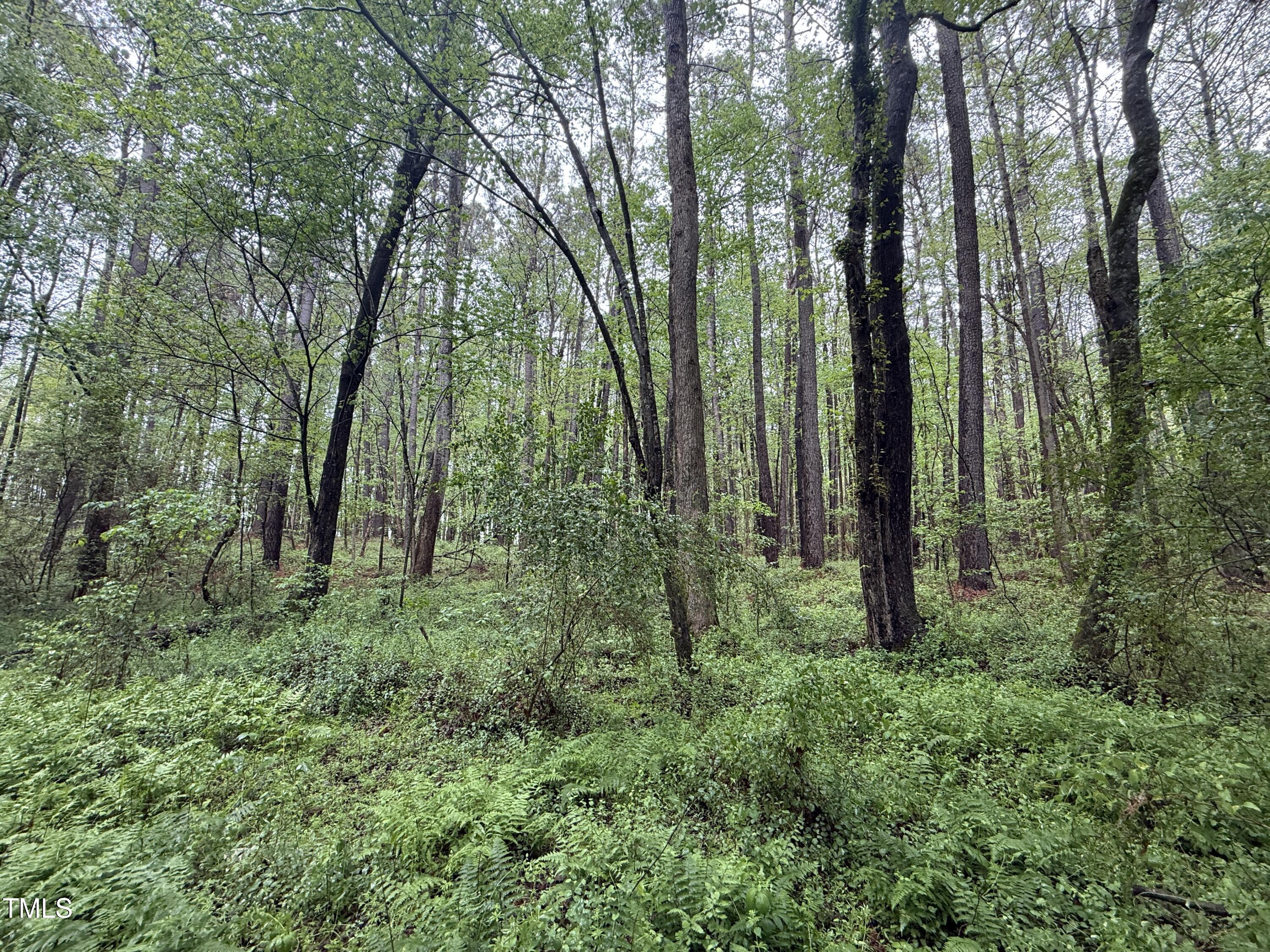 0 Poker Shake Lane Property Photo 11