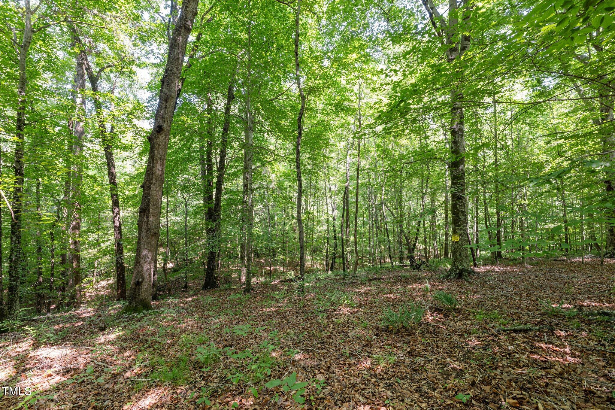 6910 Long Meadow Lane Property Photo 1