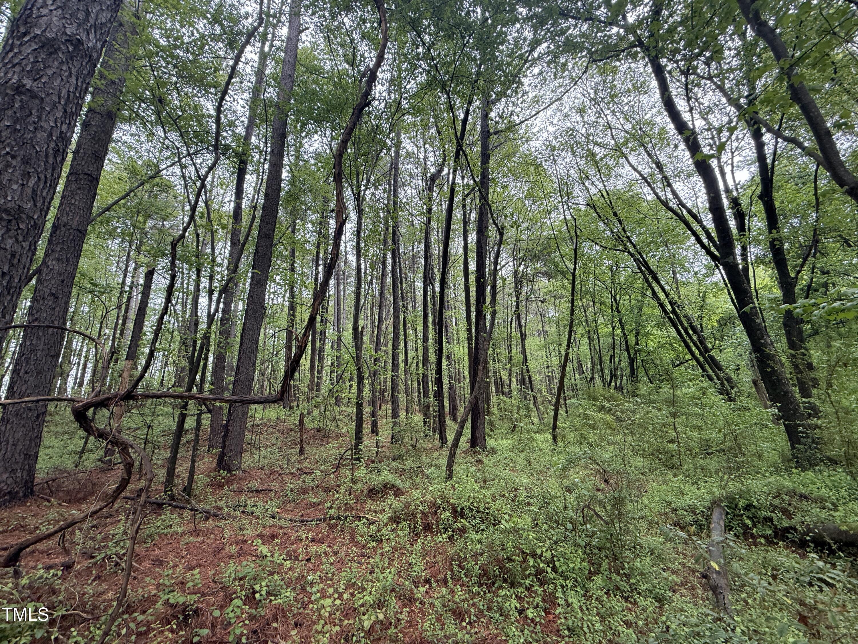 0 Poker Shake Lane Property Photo 1