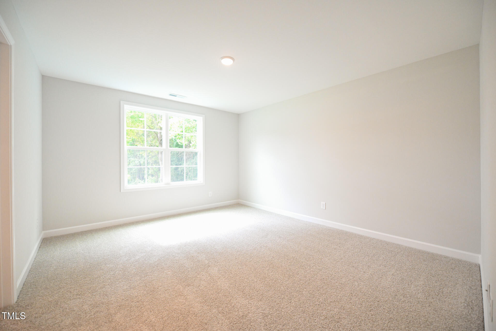 318 Abingdon Farms Drive Property Photo 33