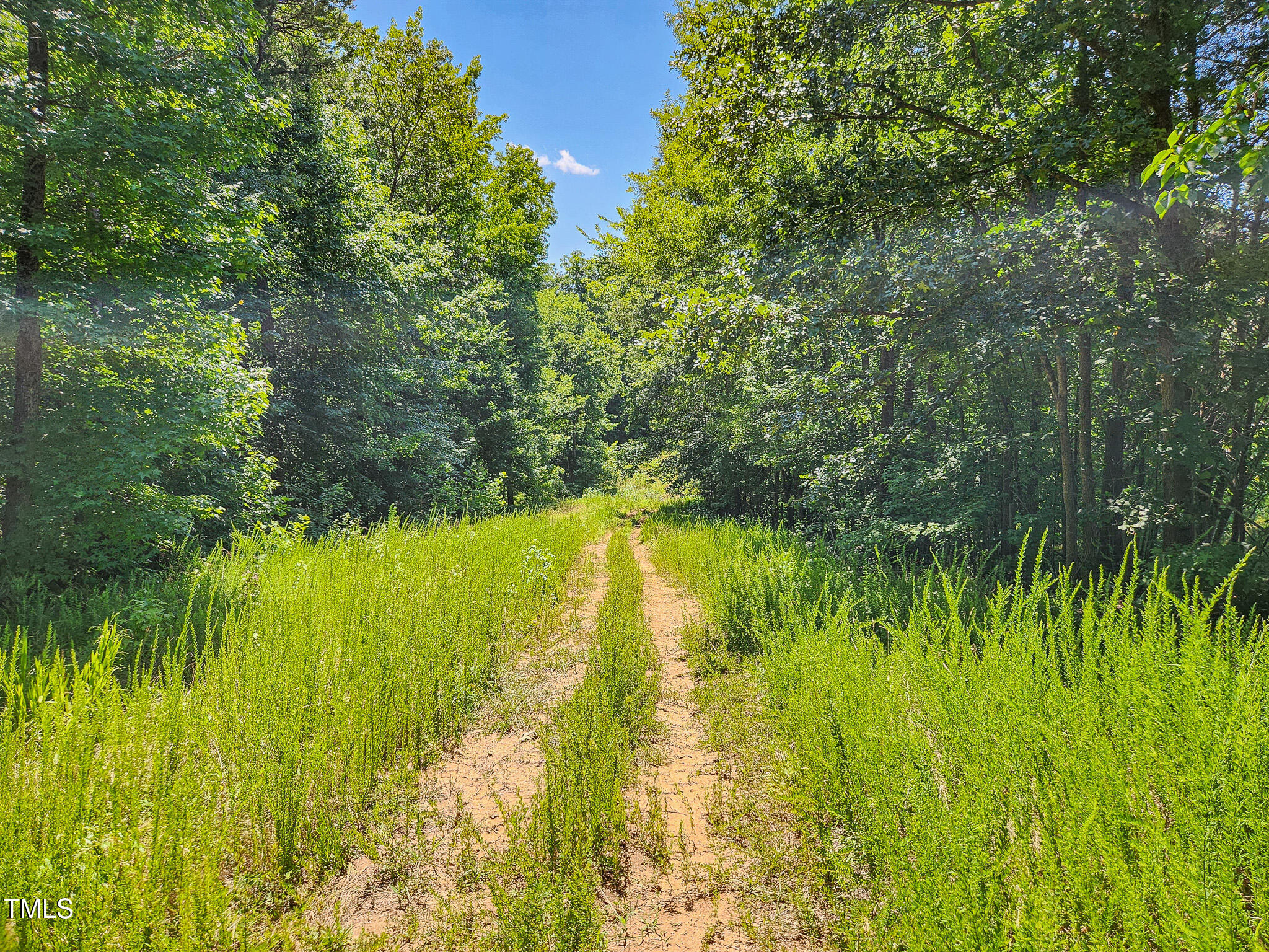 1201 1203 Zz Nc Highway 61 S Property Photo 15