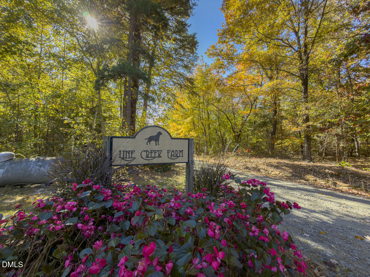 390 Line Creek Farm Road Property Photo 98