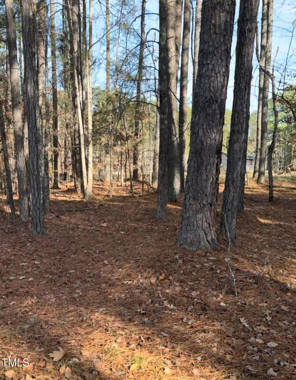 4300 Jeffries Road Property Photo 1