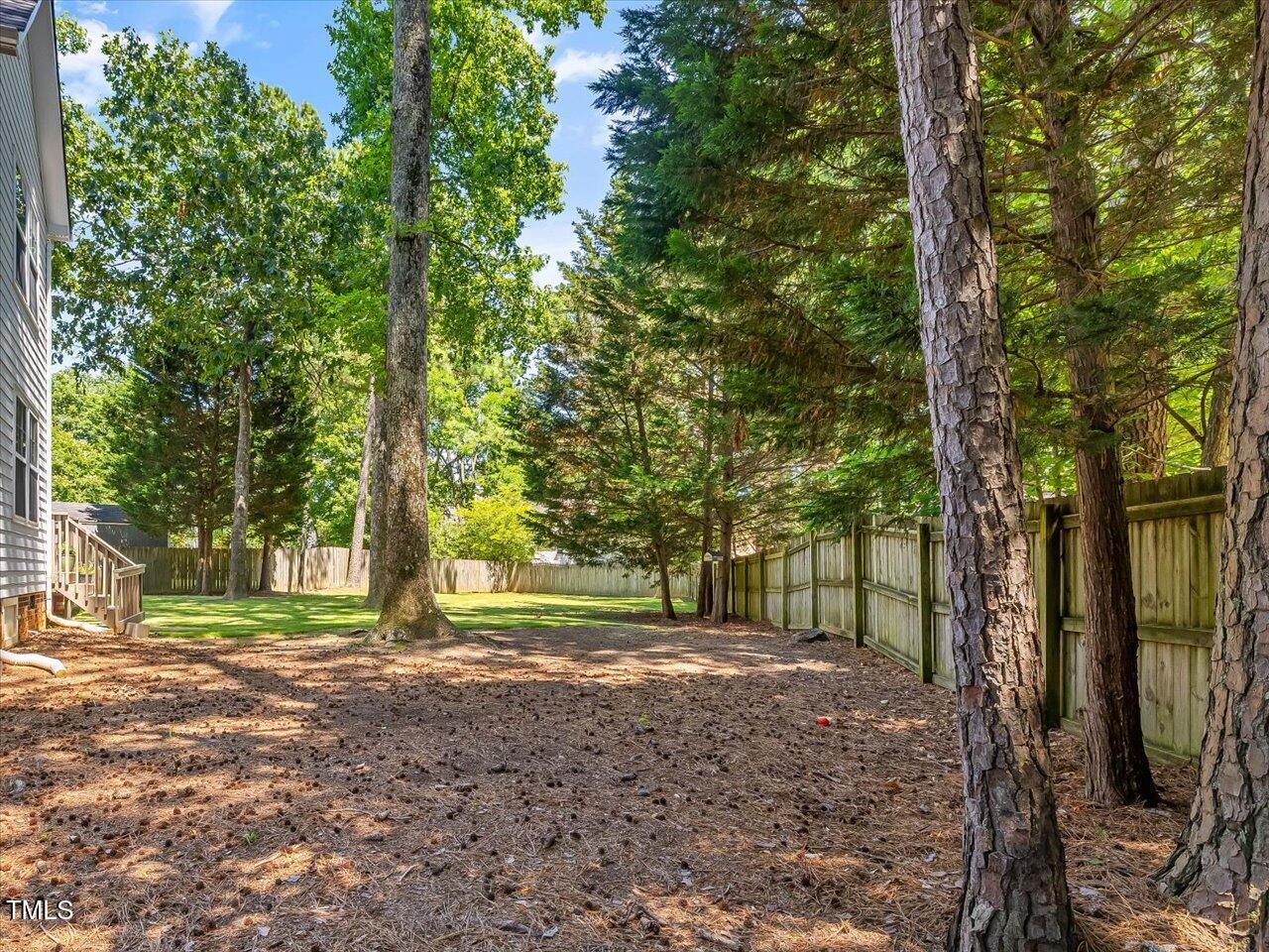 221 Antique Lace Way Property Photo 54
